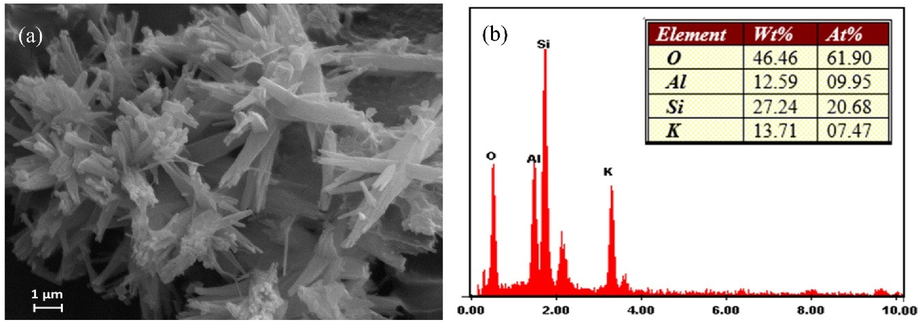 Molecules 26 07550 g003
