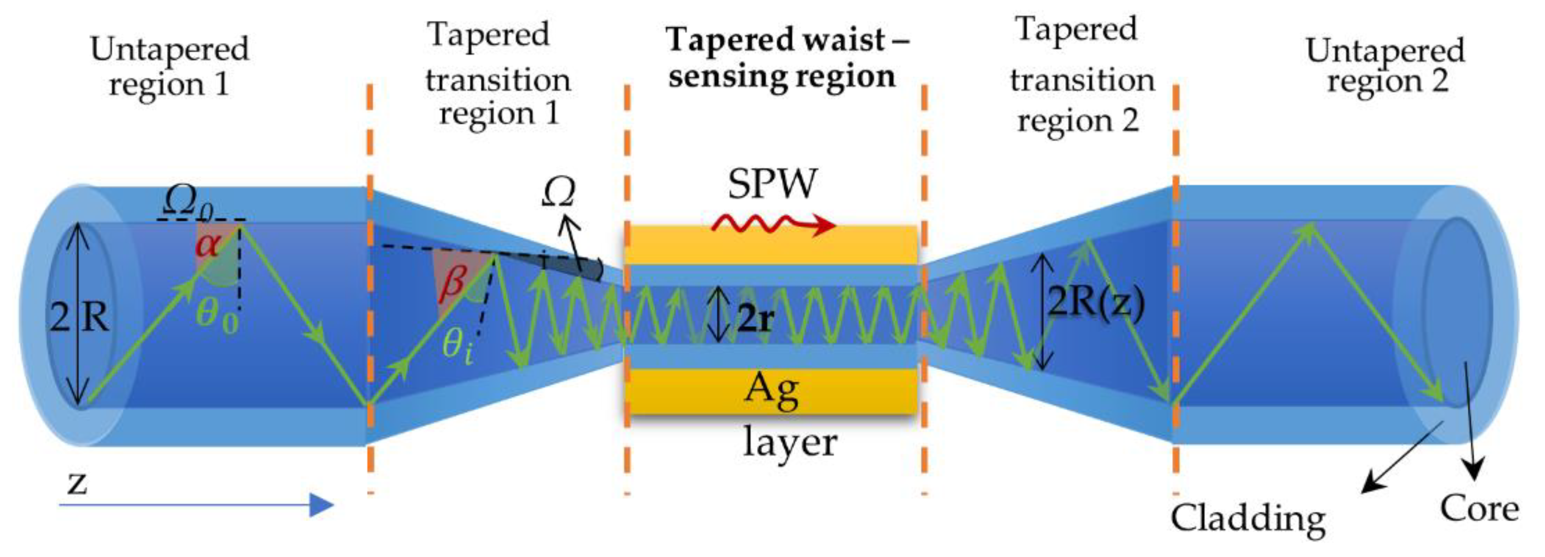 Molecules 26 07553 g001