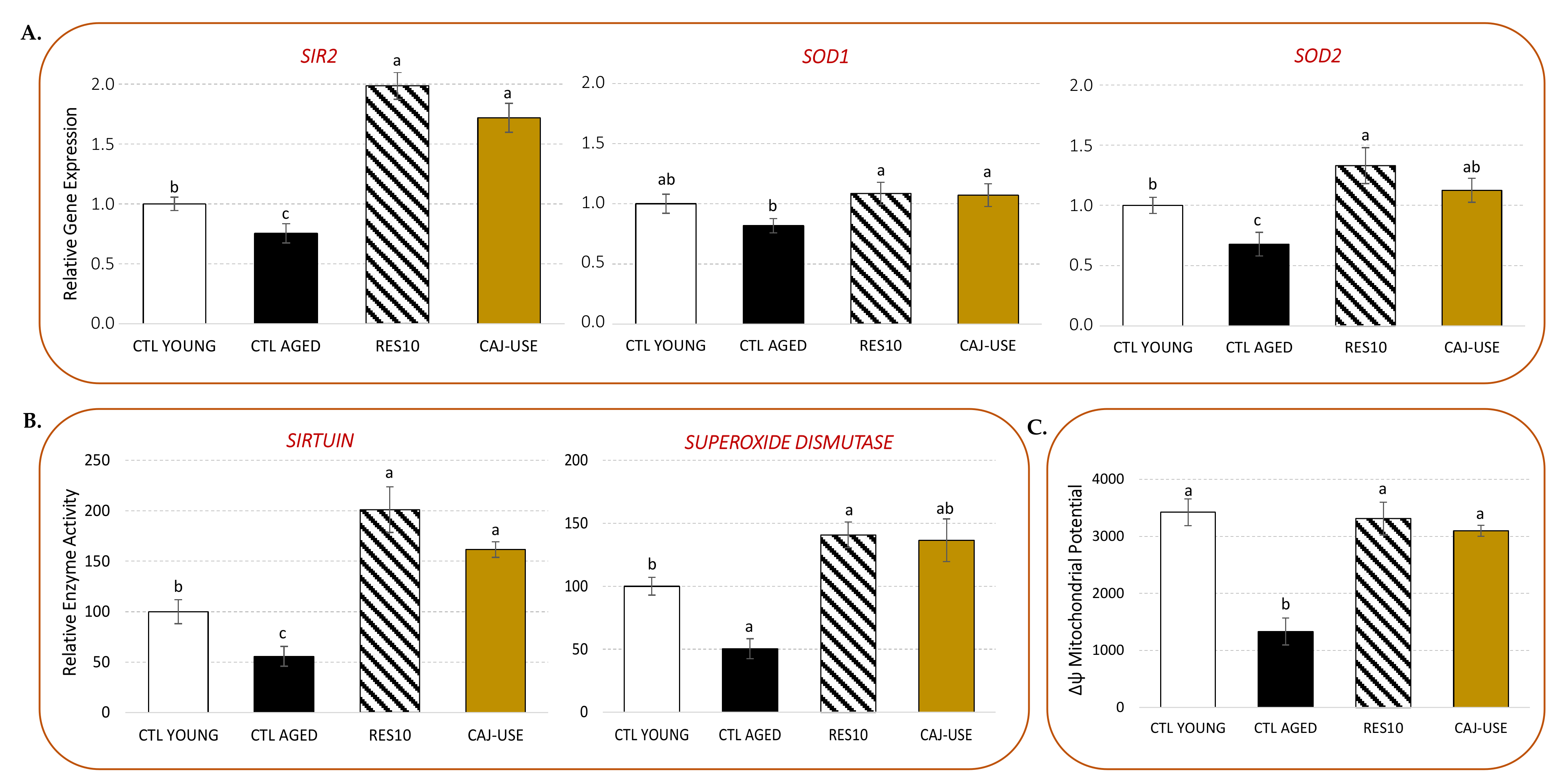 Molecules 26 07557 g005