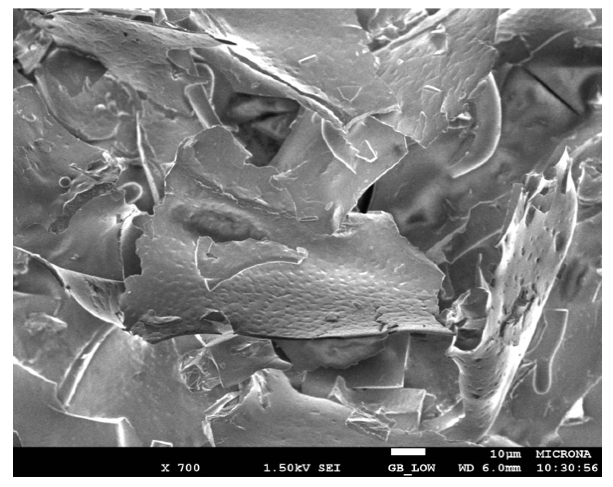 Molecules 26 07569 g006