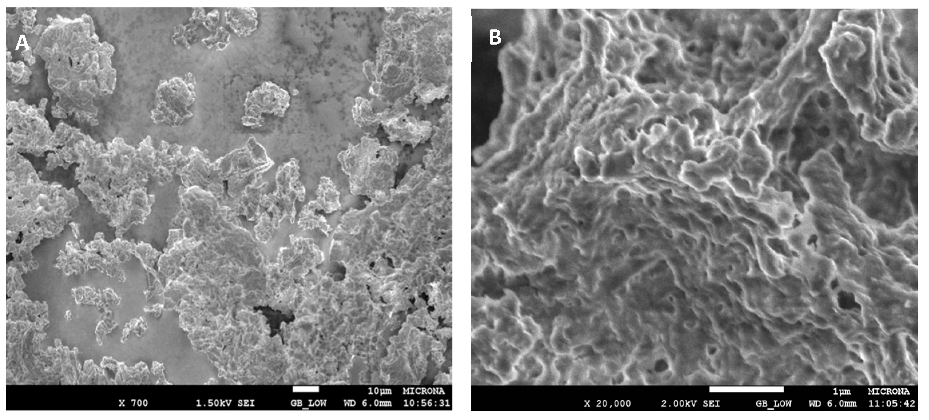 Molecules 26 07569 g007