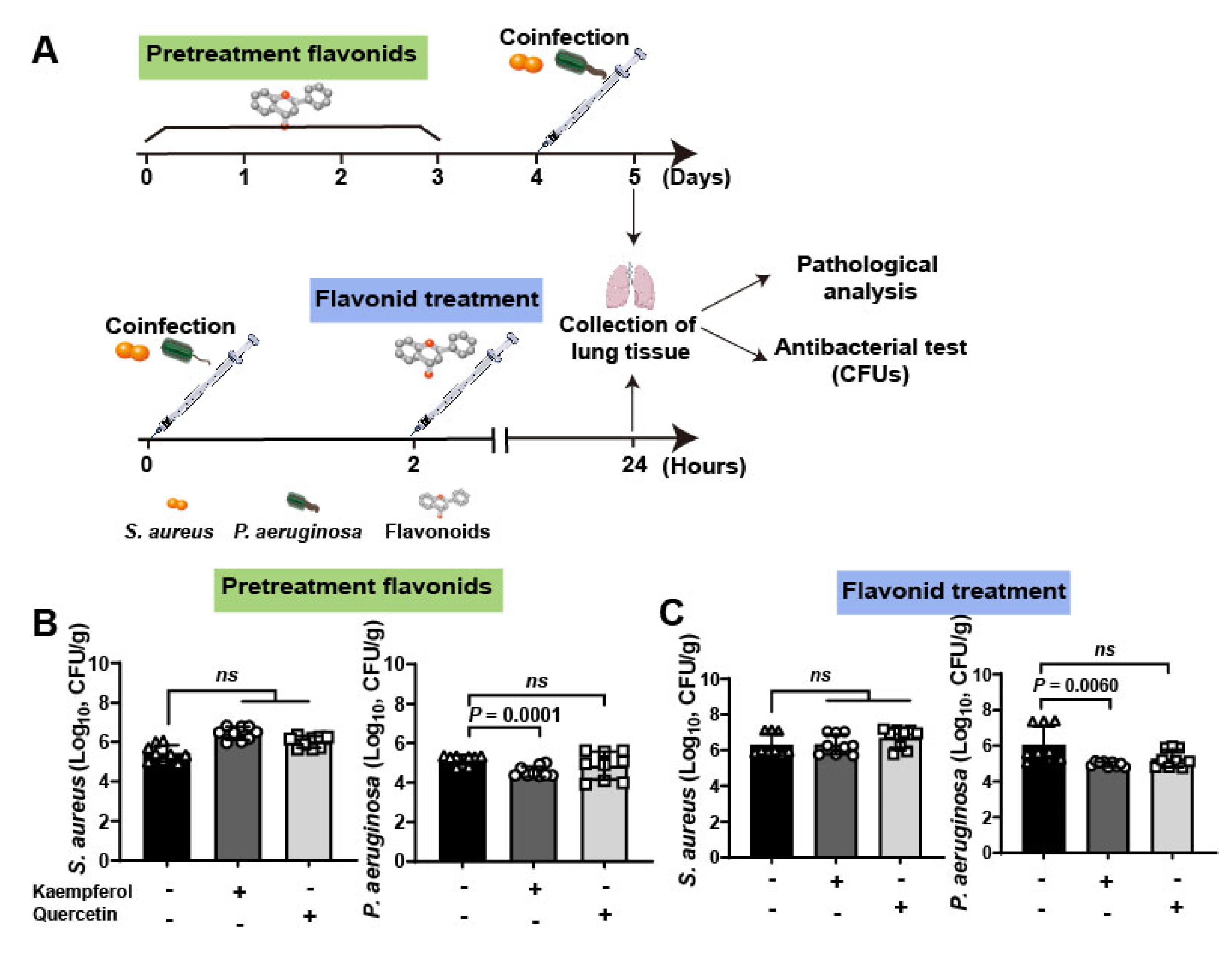 Molecules 26 07577 g004