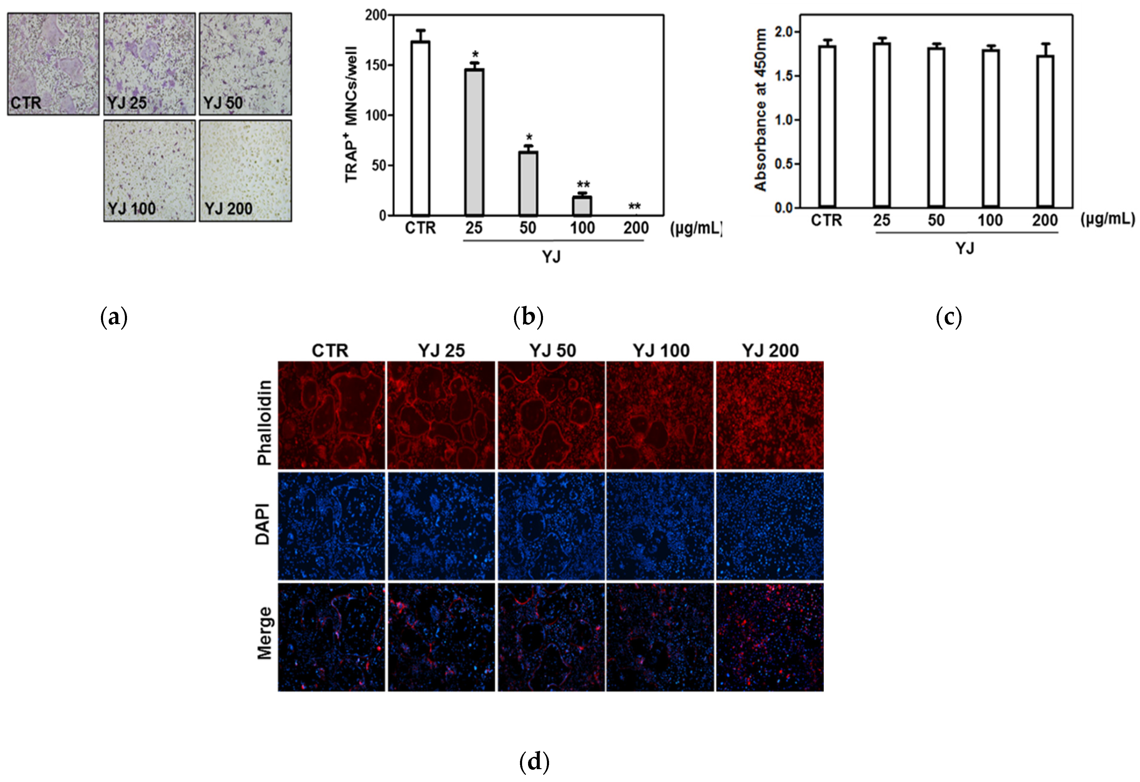 Molecules 26 07579 g003