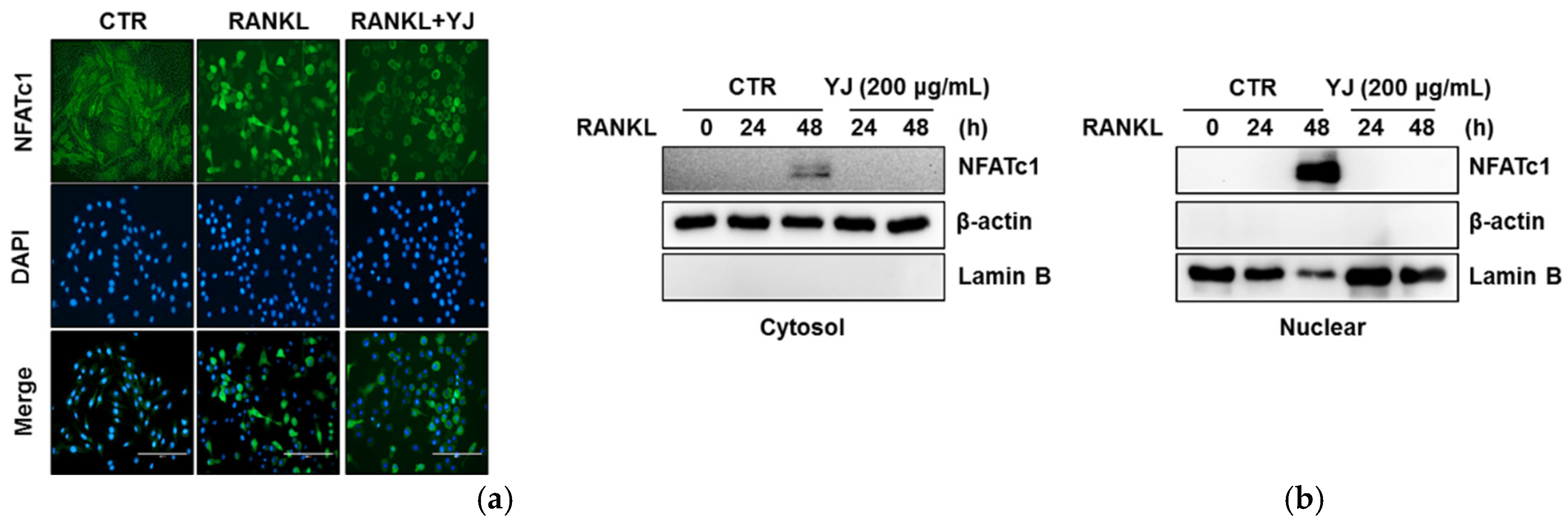 Molecules 26 07579 g006