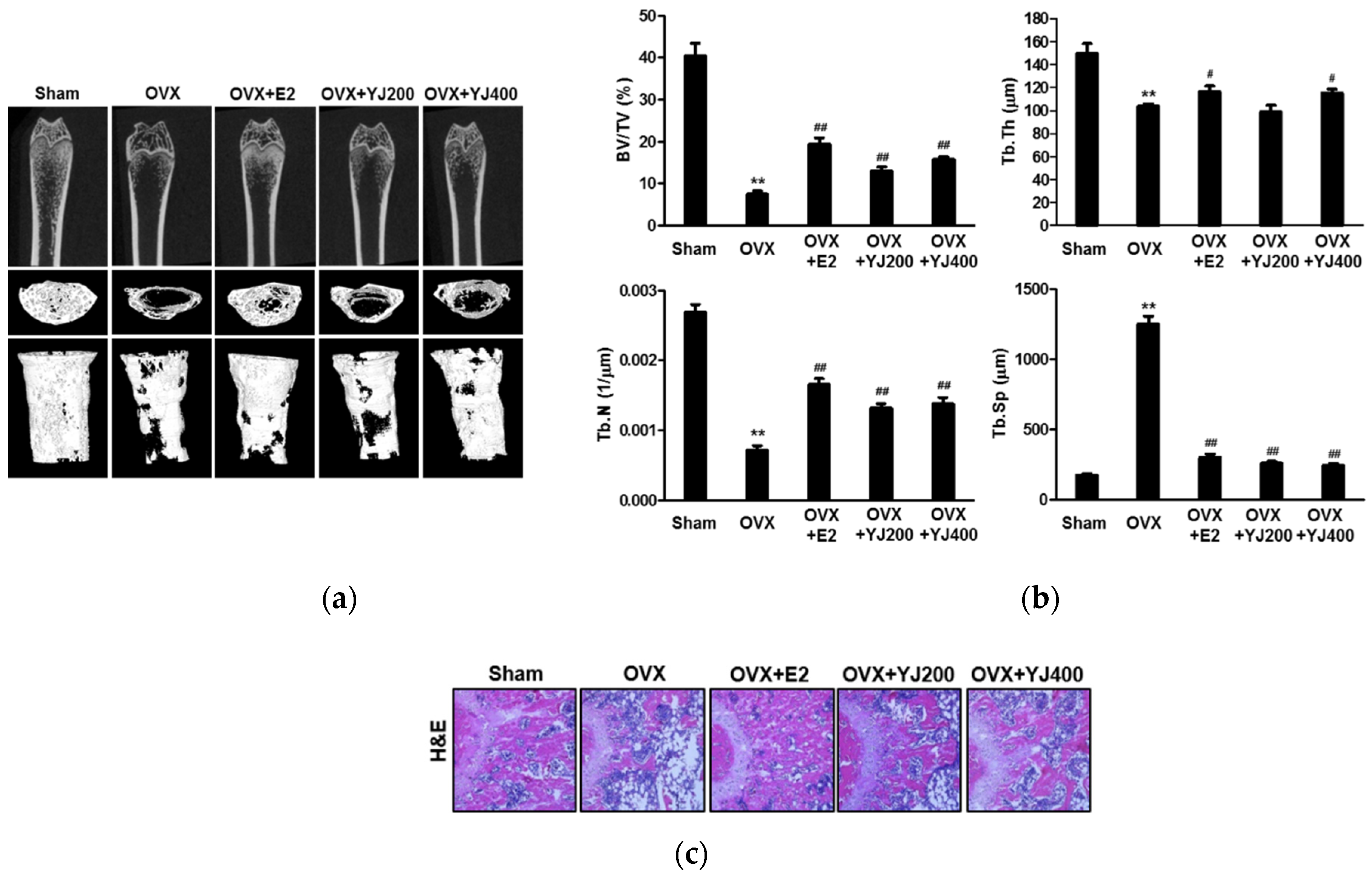 Molecules 26 07579 g008