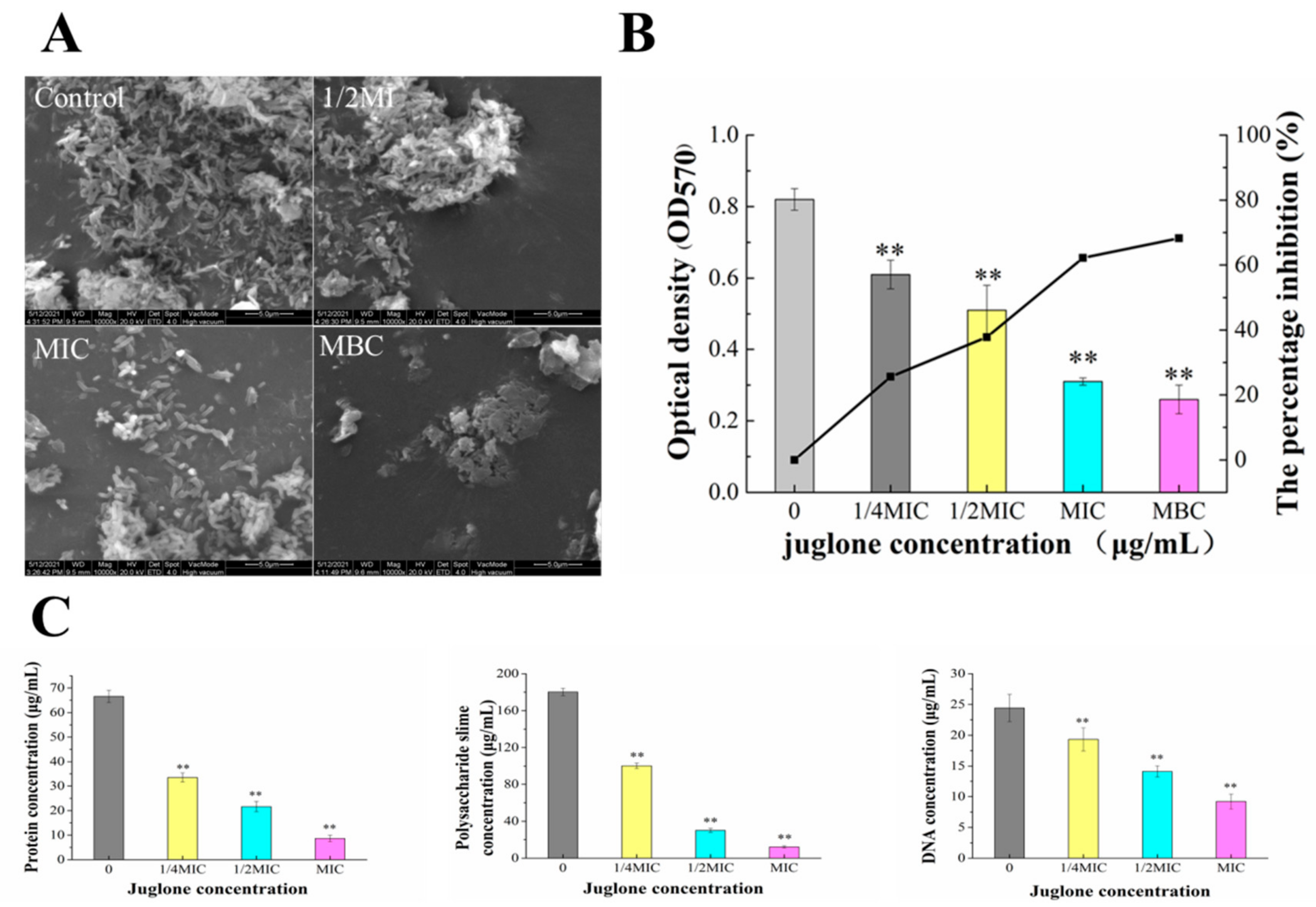 Molecules 26 07580 g007