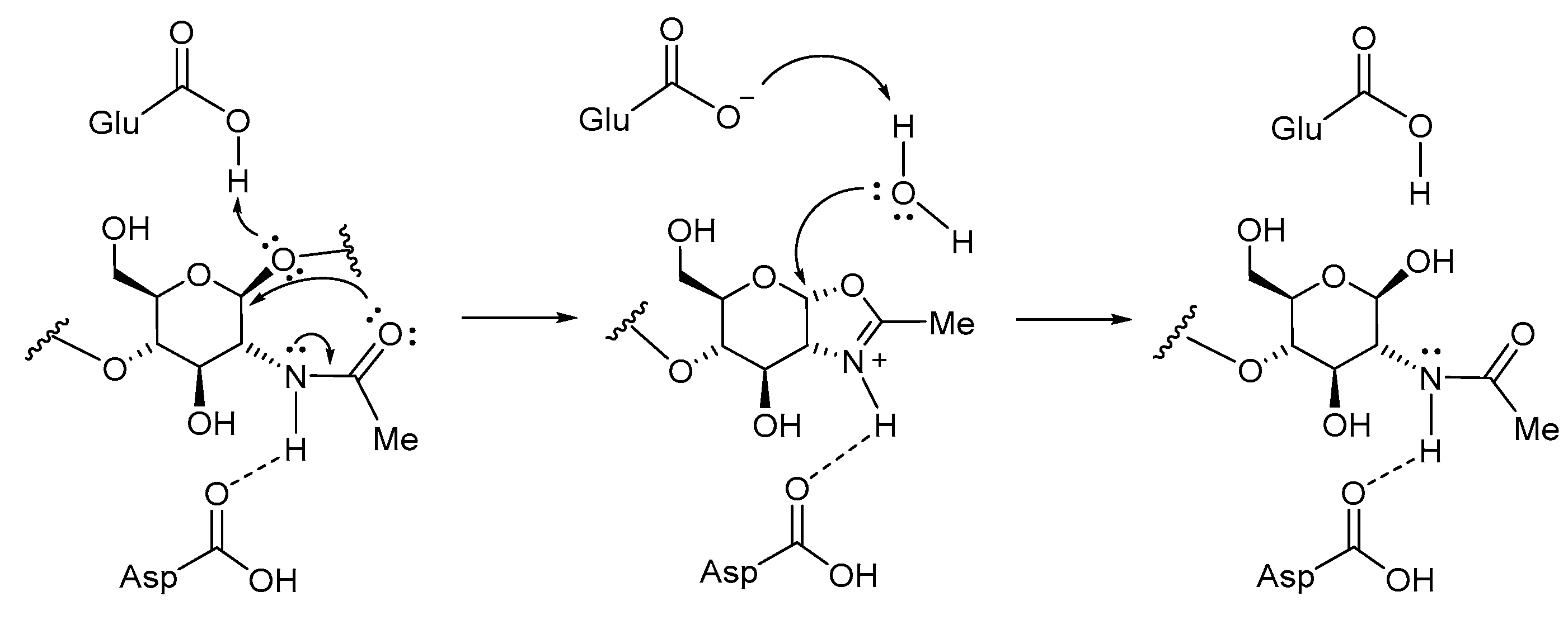Molecules 26 07606 g004 Molecules 26 07606 g004