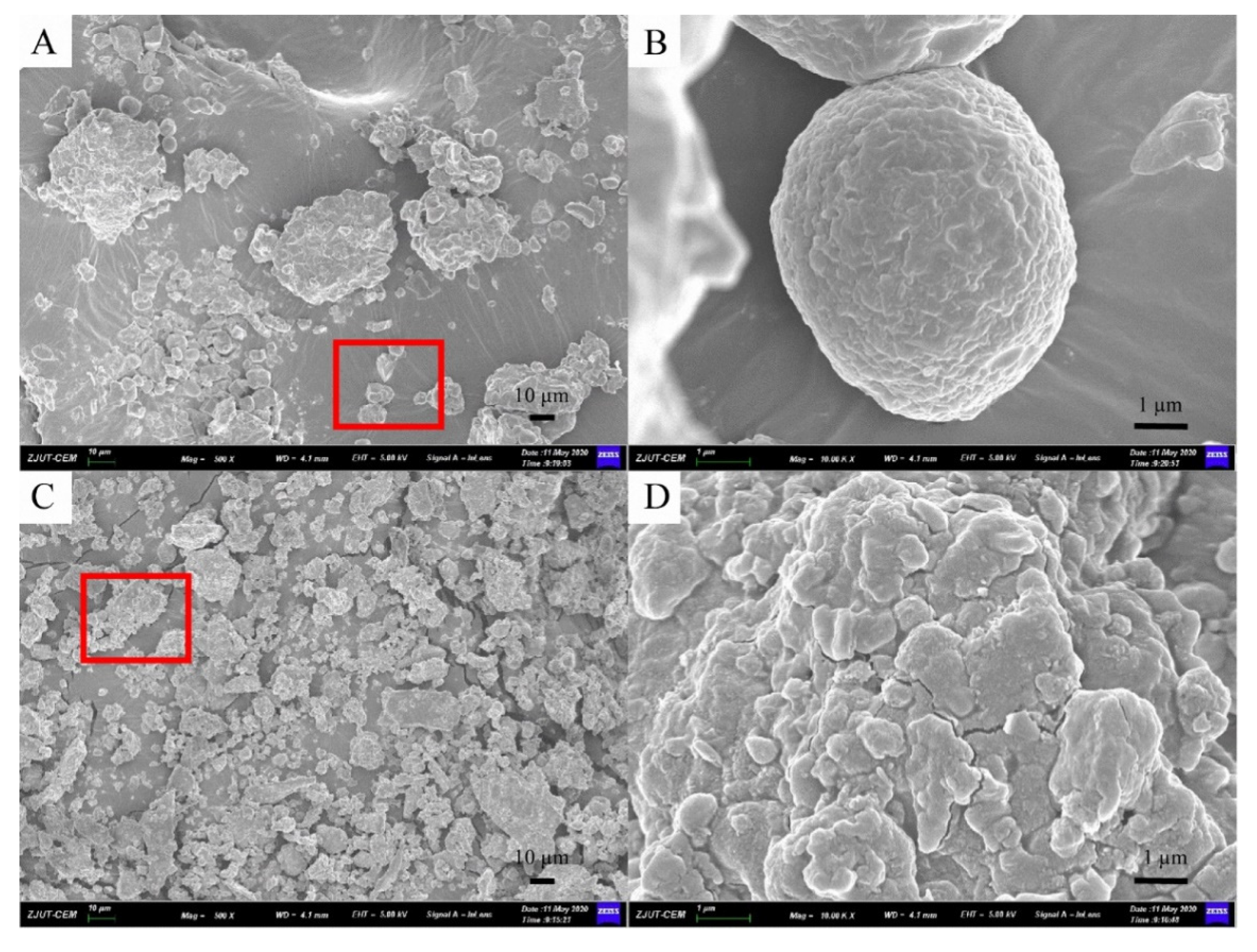 Molecules 26 07615 g003