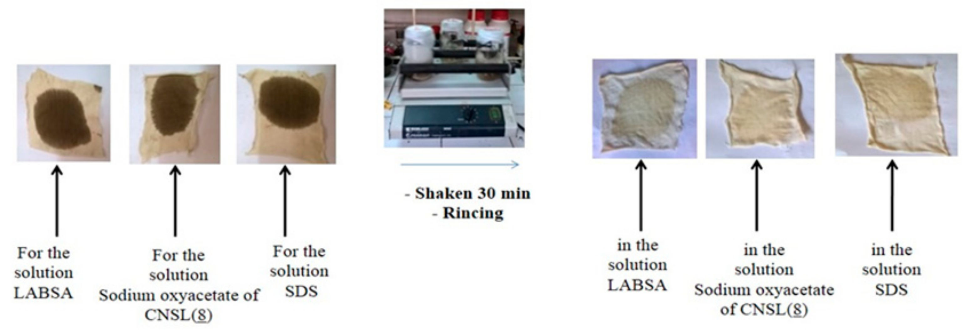 Molecules 26 07625 g004 Molecules 26 07625 g004