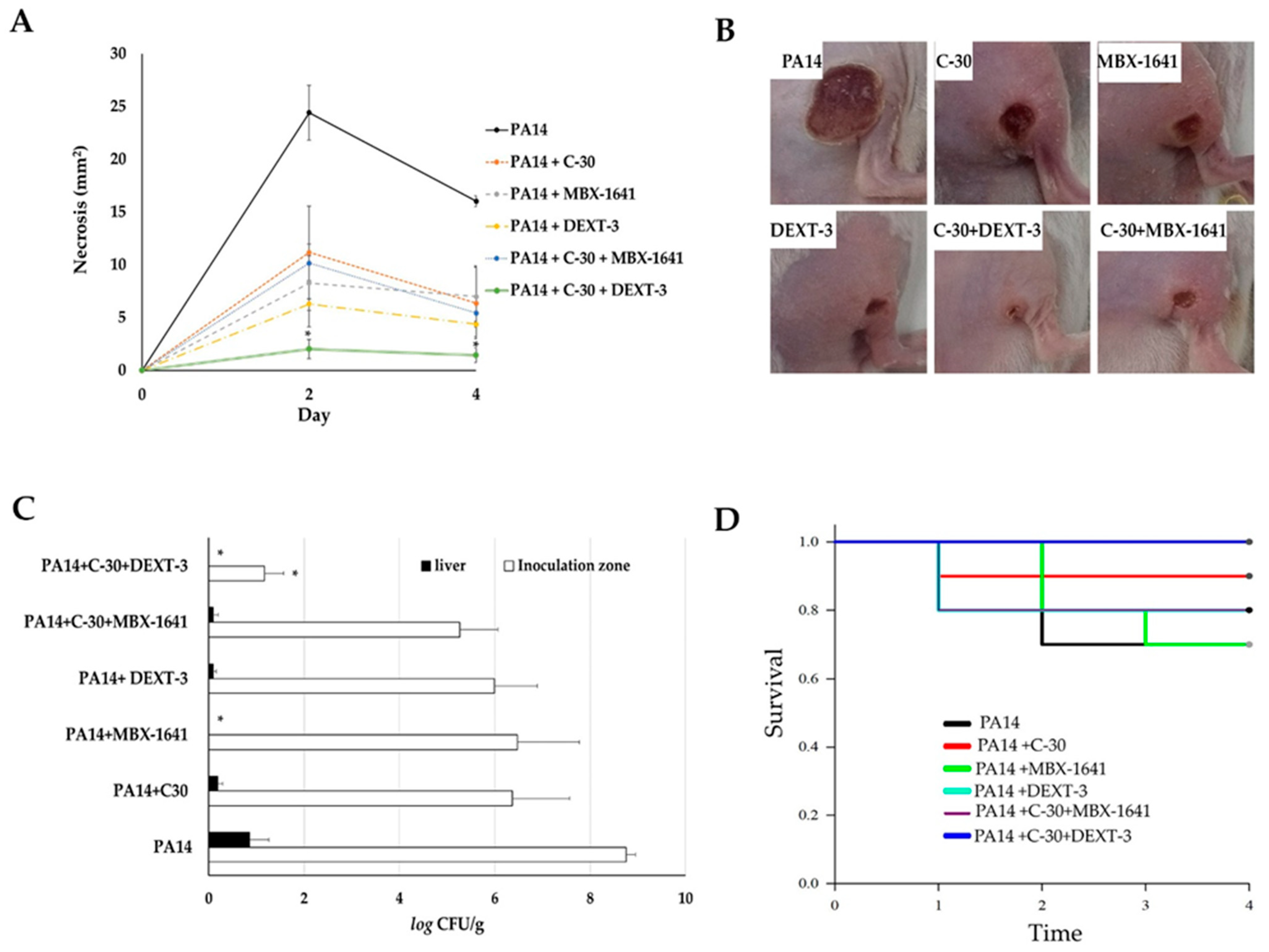 Molecules 26 07635 g005