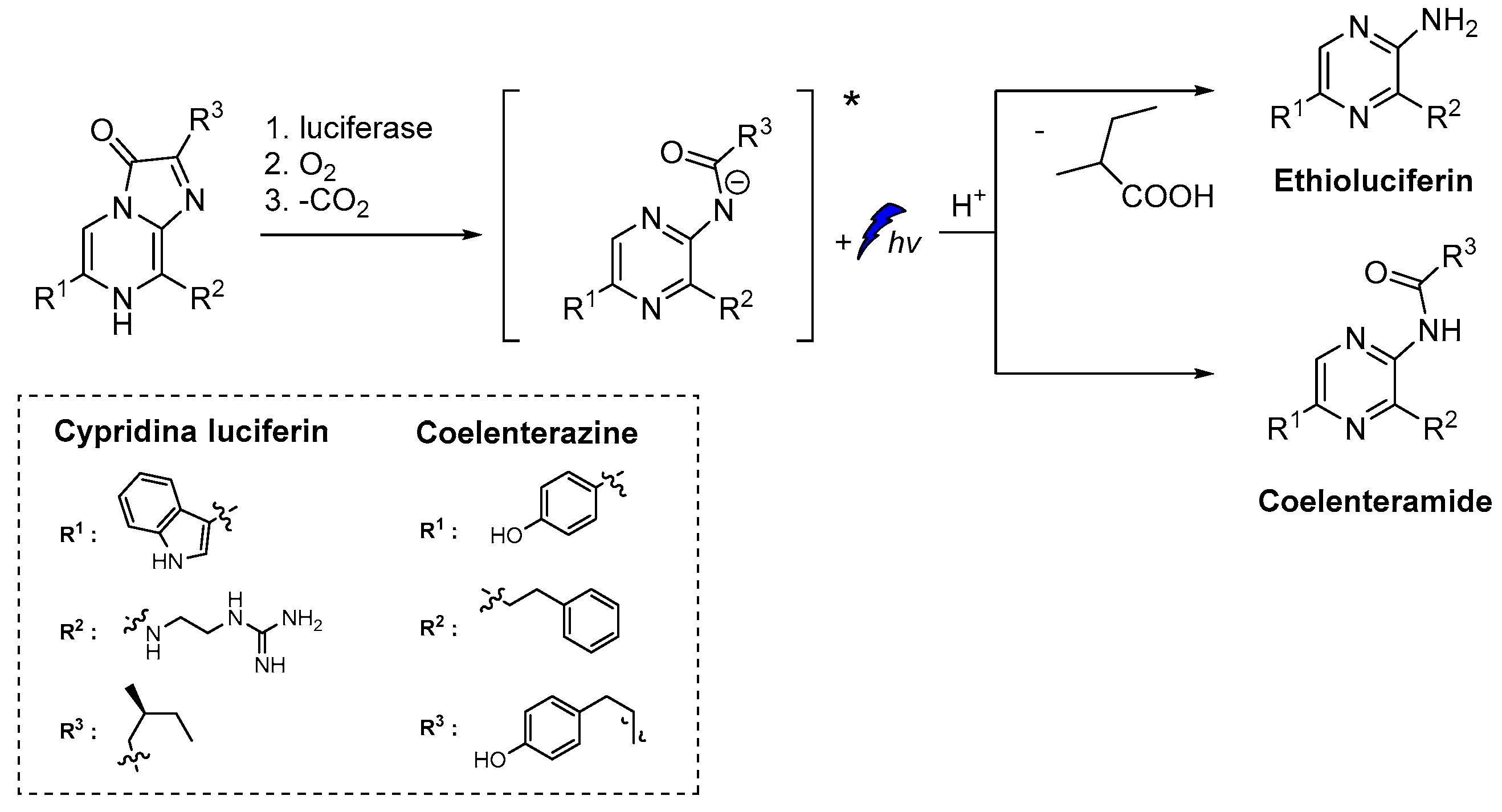 Molecules 26 07664 sch002