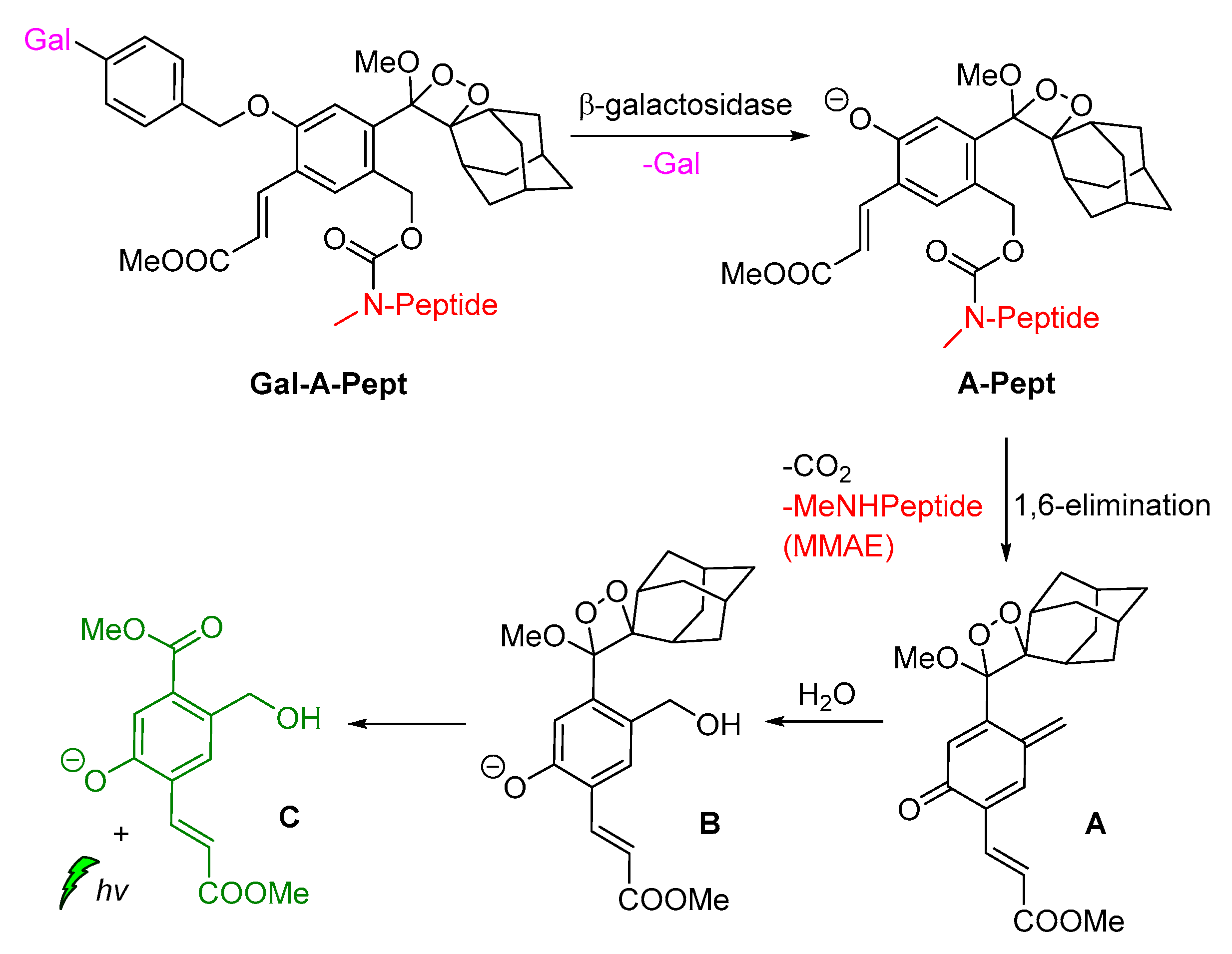 Molecules 26 07664 sch011