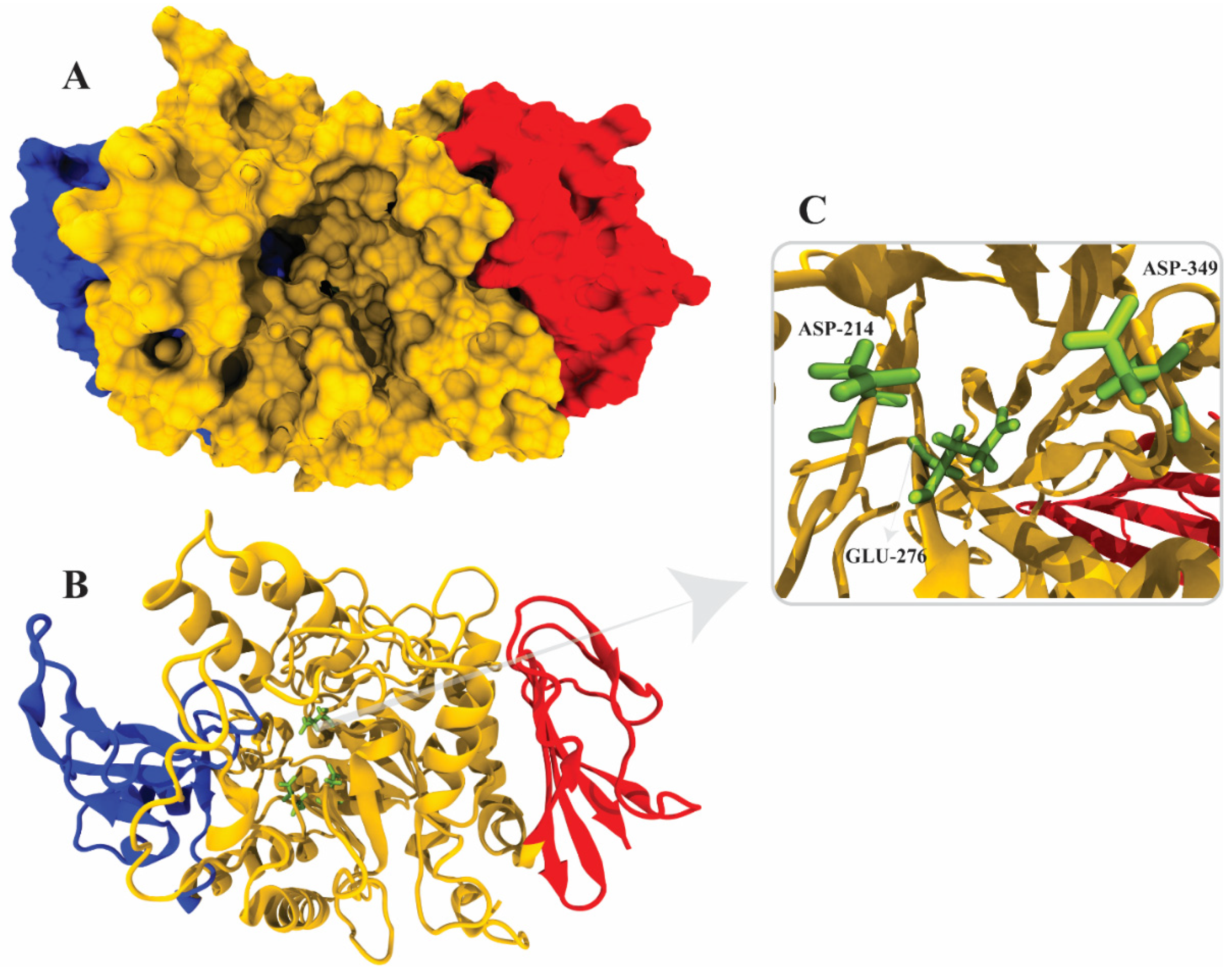 Molecules 26 07676 g006