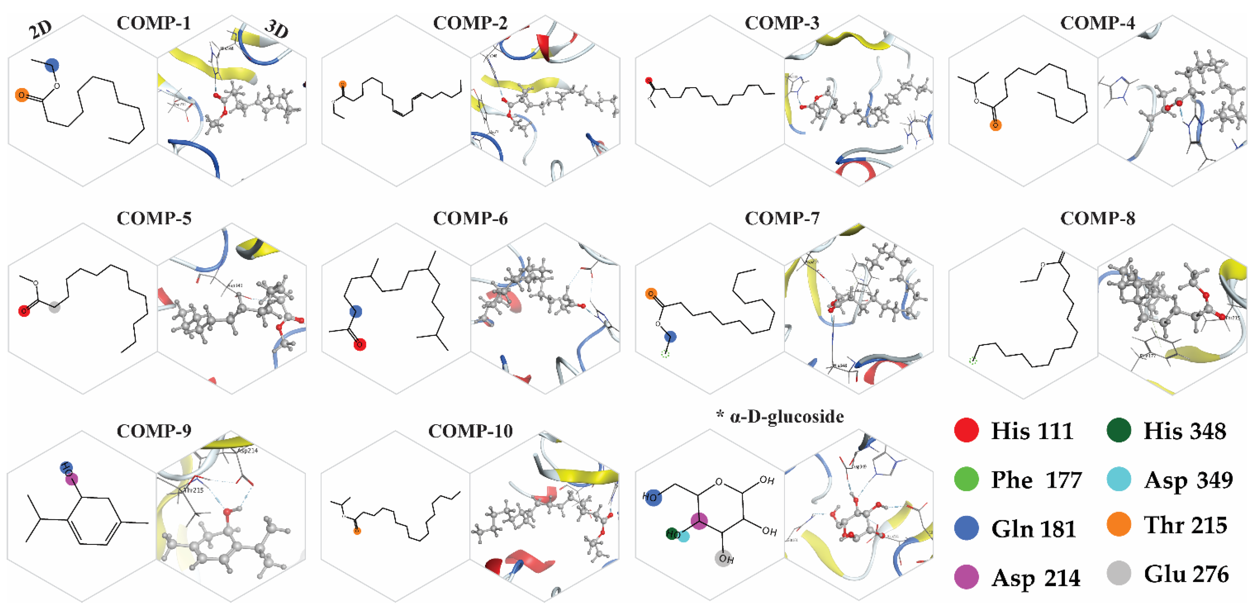 Molecules 26 07676 g012