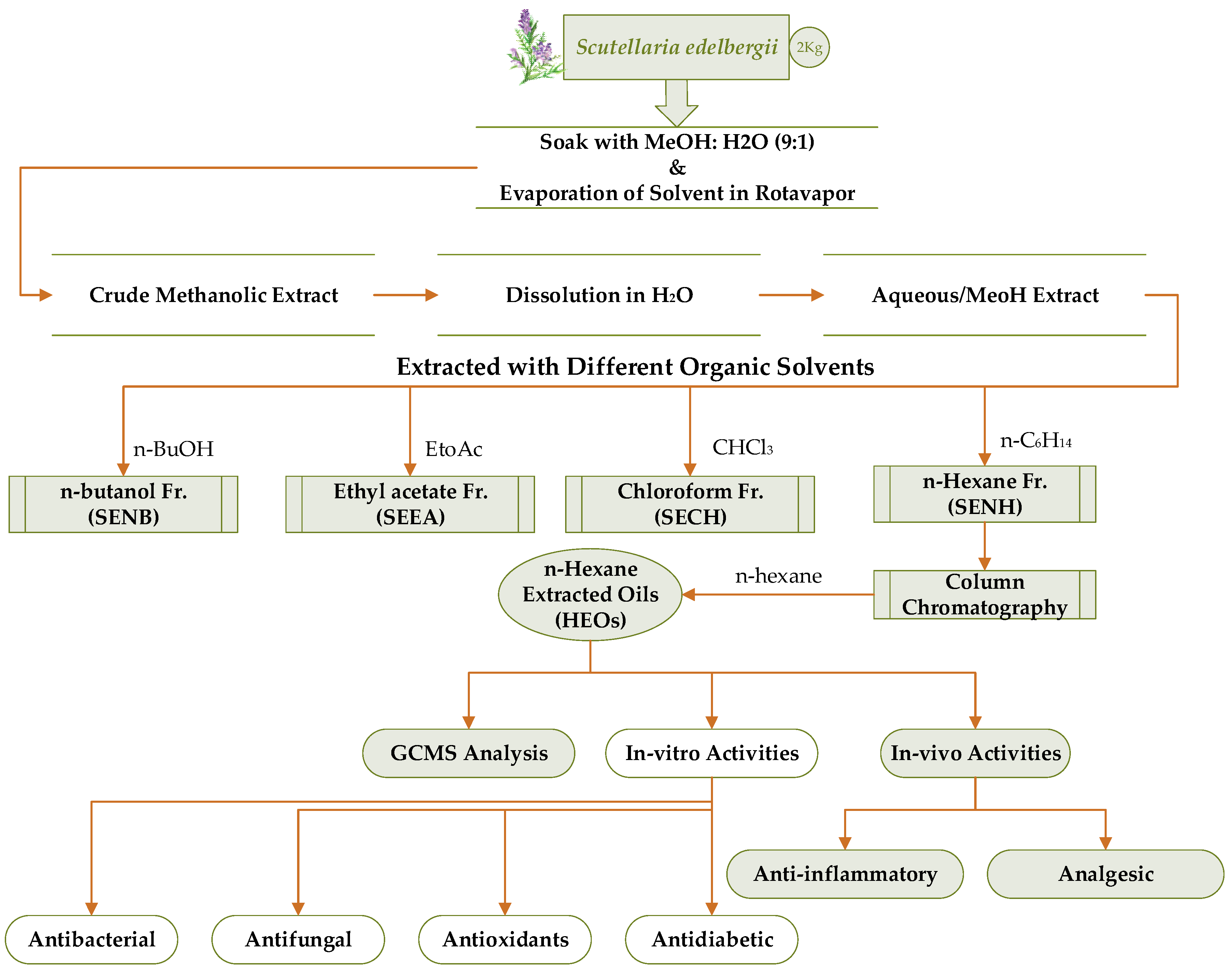 Molecules 26 07676 g013