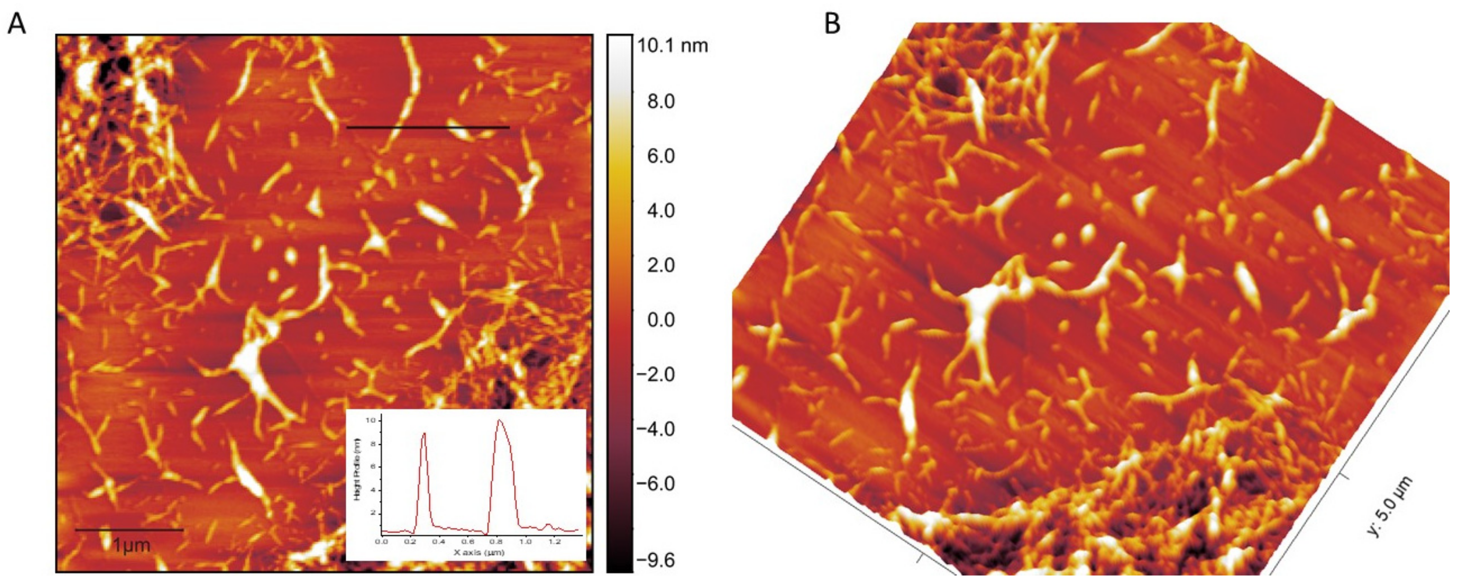 Molecules 26 07701 g006
