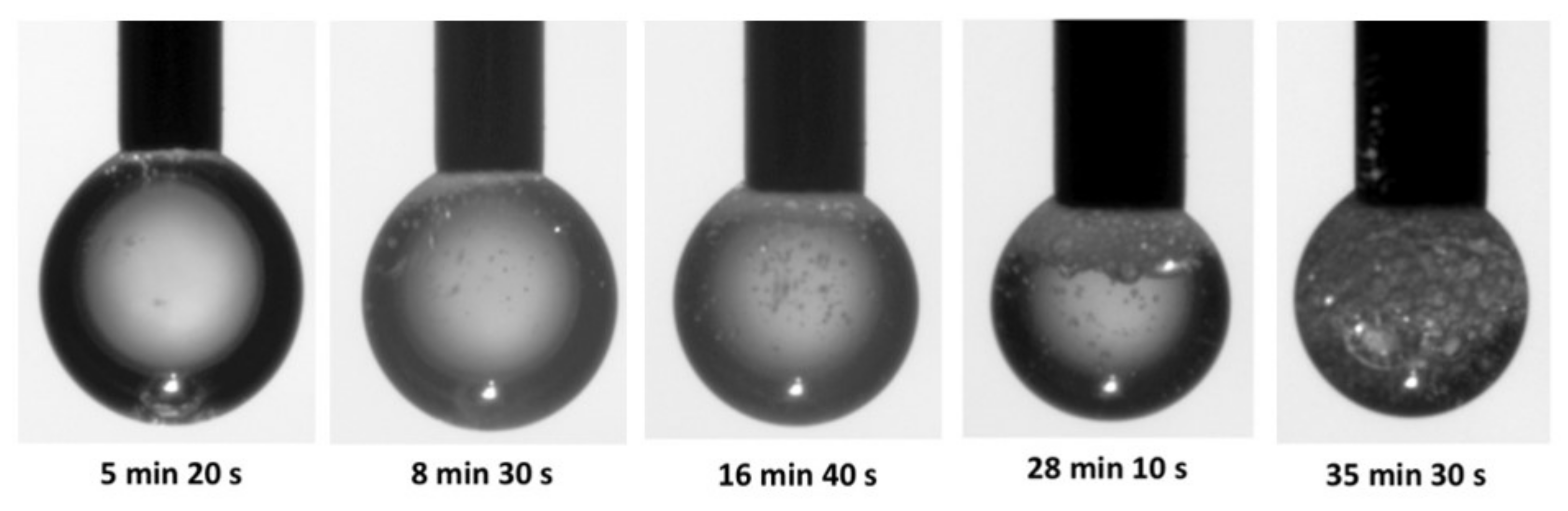 Molecules 26 07704 g002