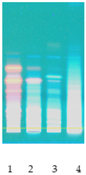 Molecules 26 07705 i008