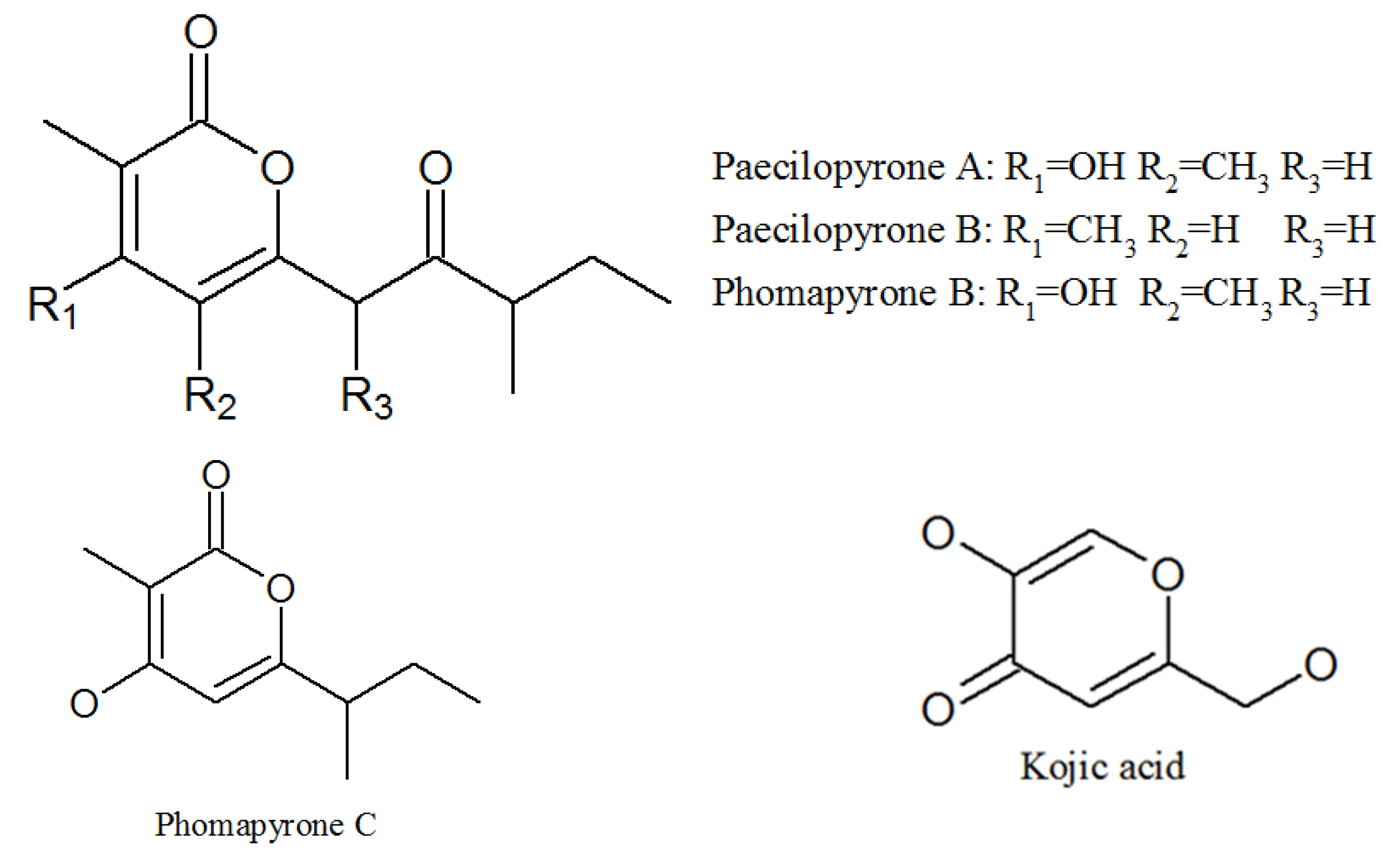 Molecules 27 00018 g005 Molecules 27 00018 g005