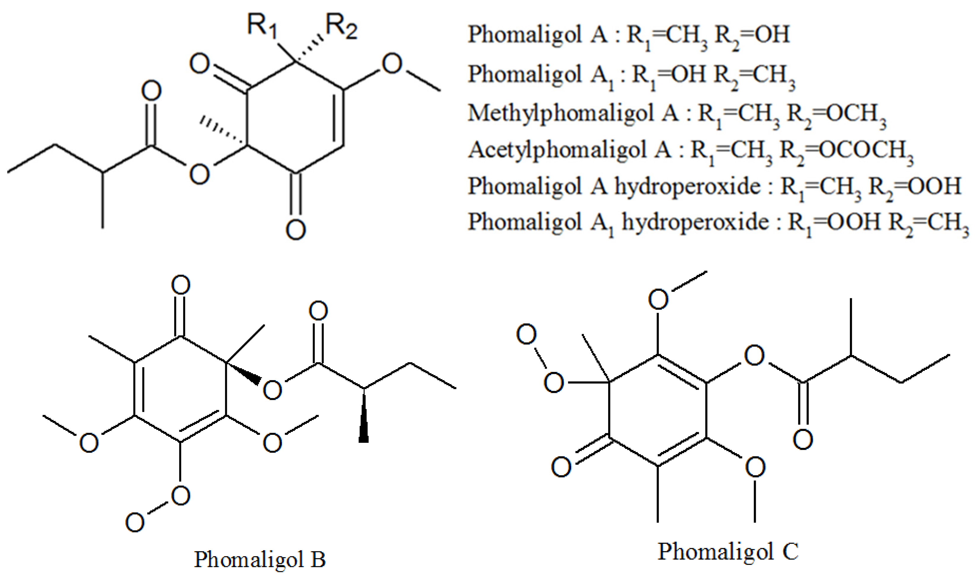 Molecules 27 00018 g006 Molecules 27 00018 g006