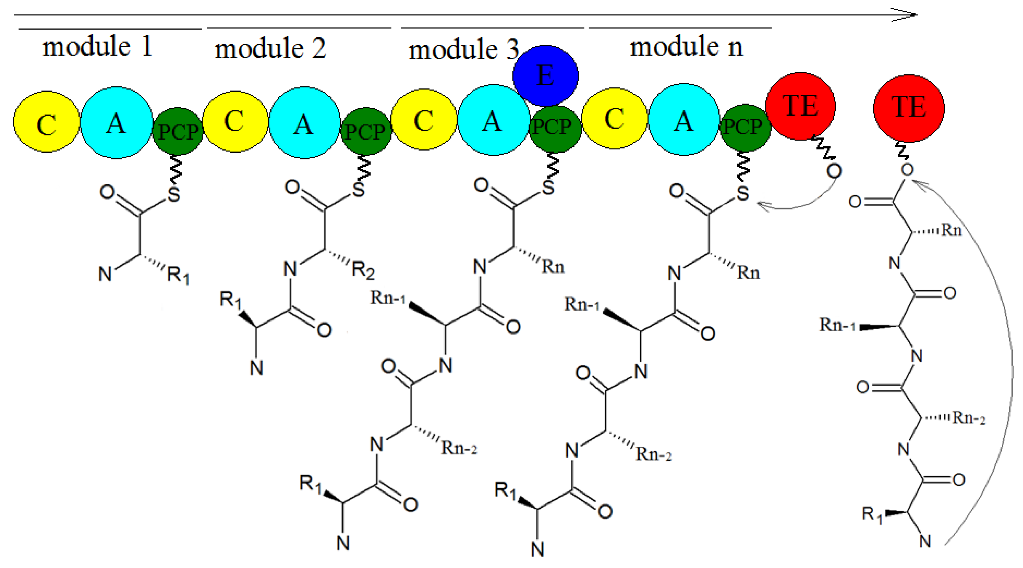 Molecules 27 00018 g011 Molecules 27 00018 g011