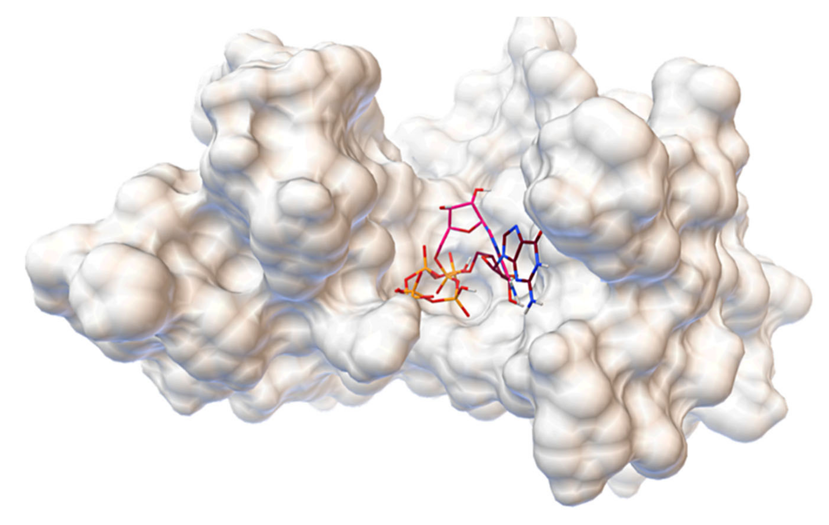 Molecules 27 00020 g001