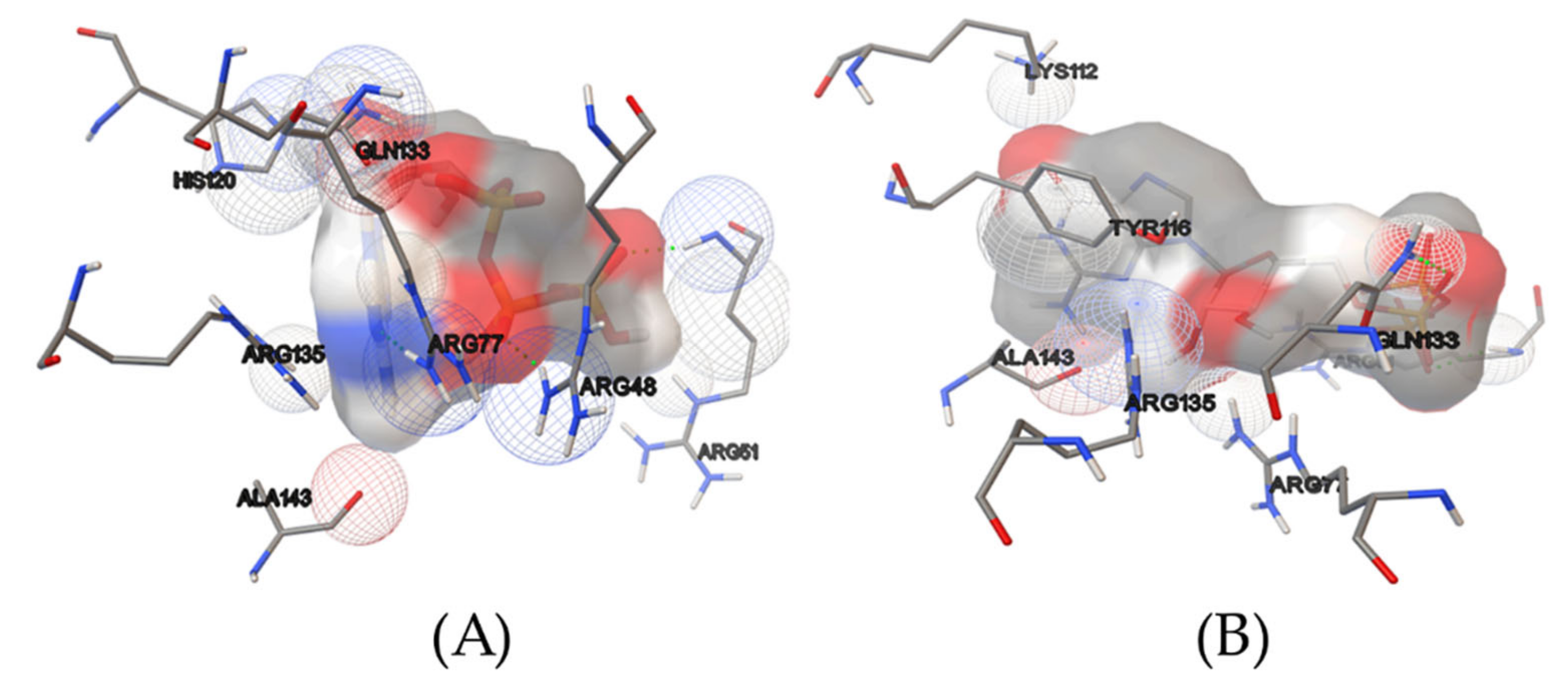 Molecules 27 00020 g002