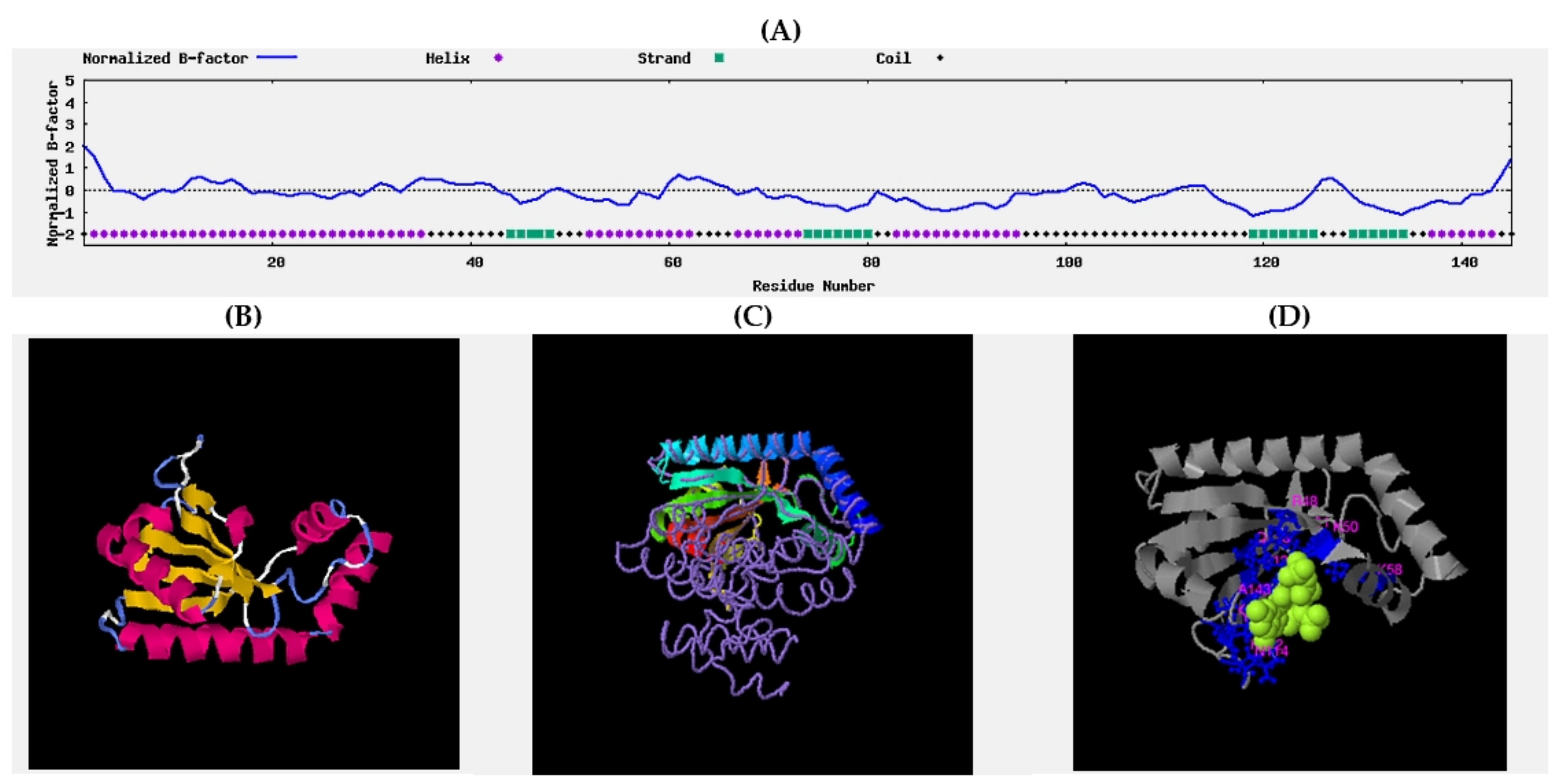 Molecules 27 00020 g009