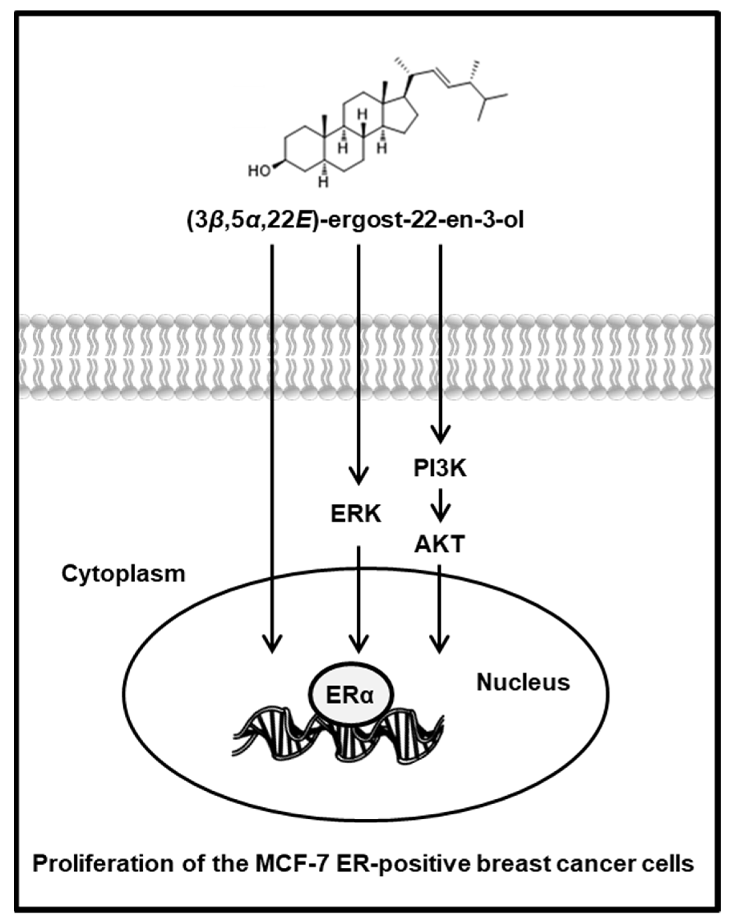Molecules 27 00036 g008