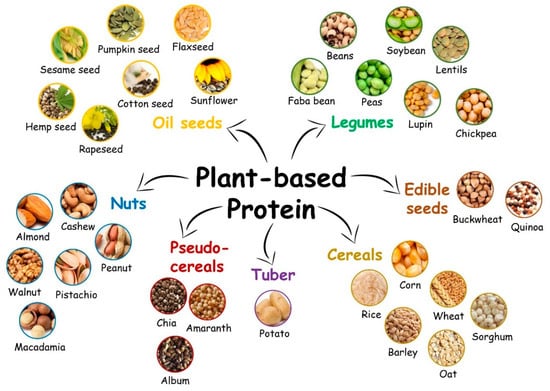 Molecules | Free Full-Text | Plant Protein-Based Delivery Systems: An ...