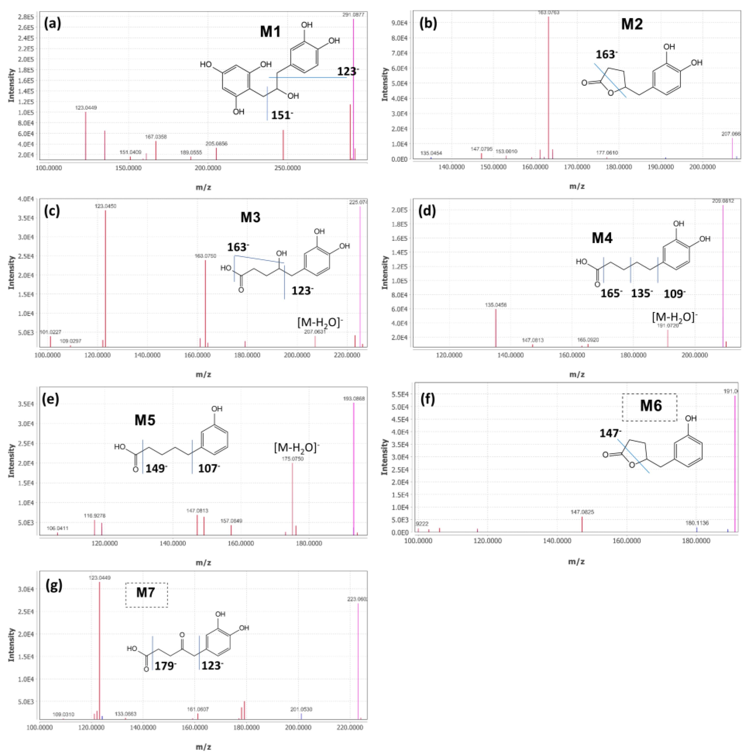 Molecules 27 00073 g001