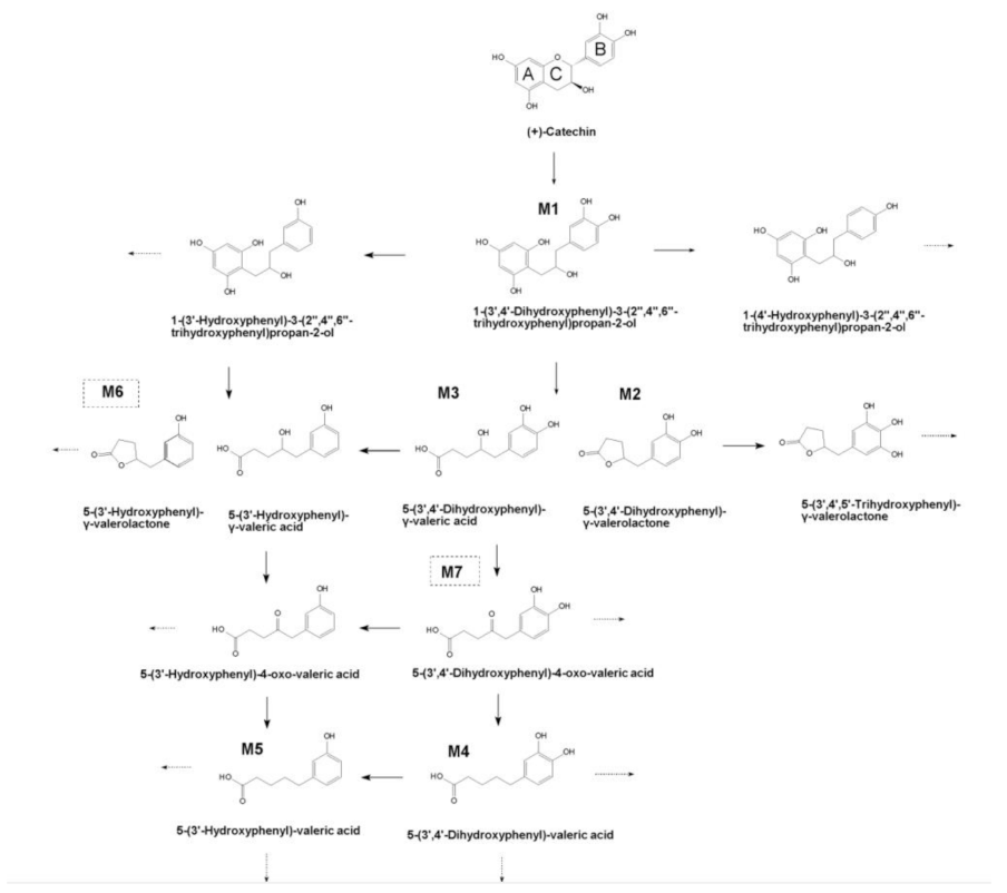 Molecules 27 00073 g002