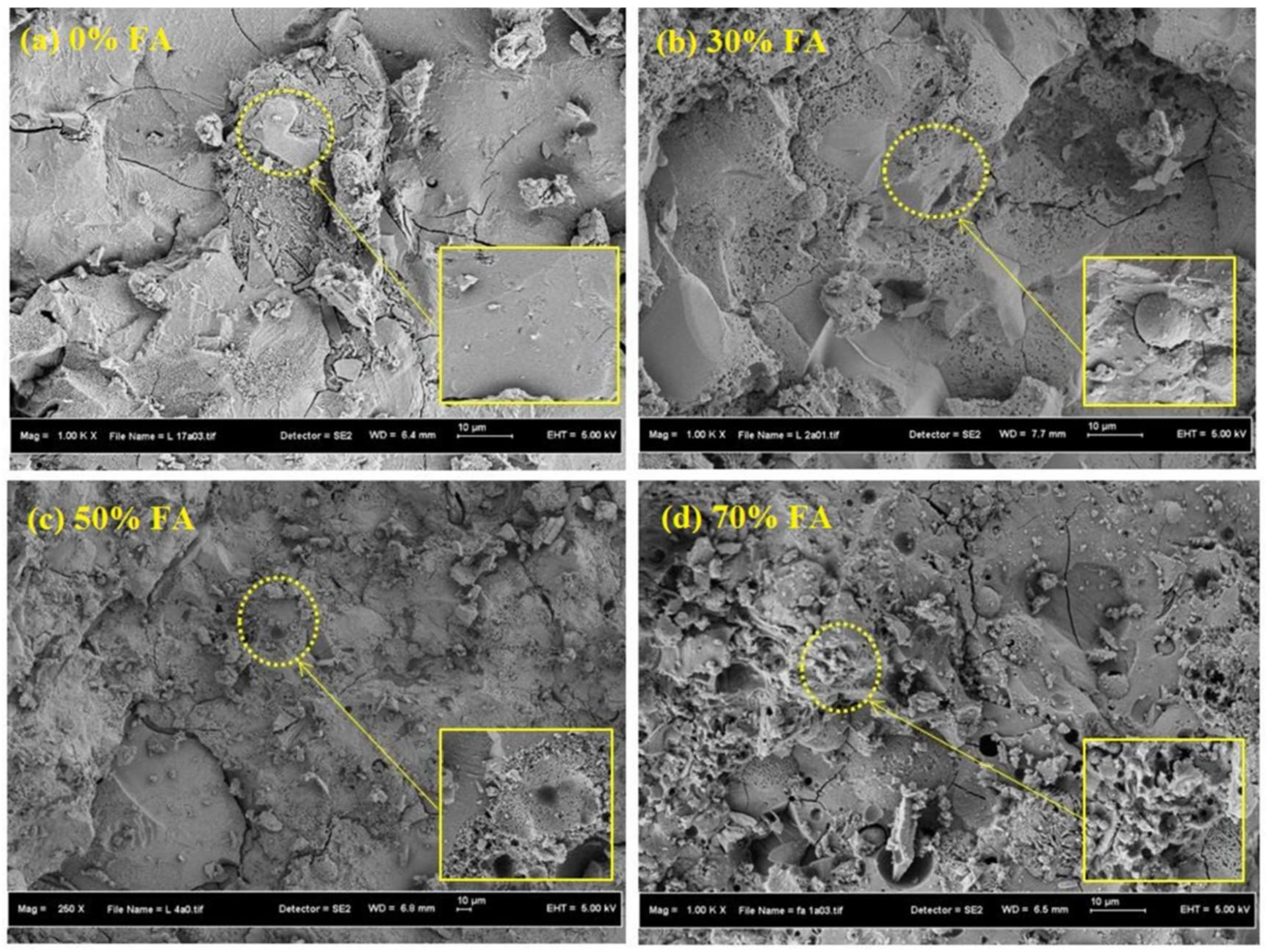 Molecules 27 00081 g003