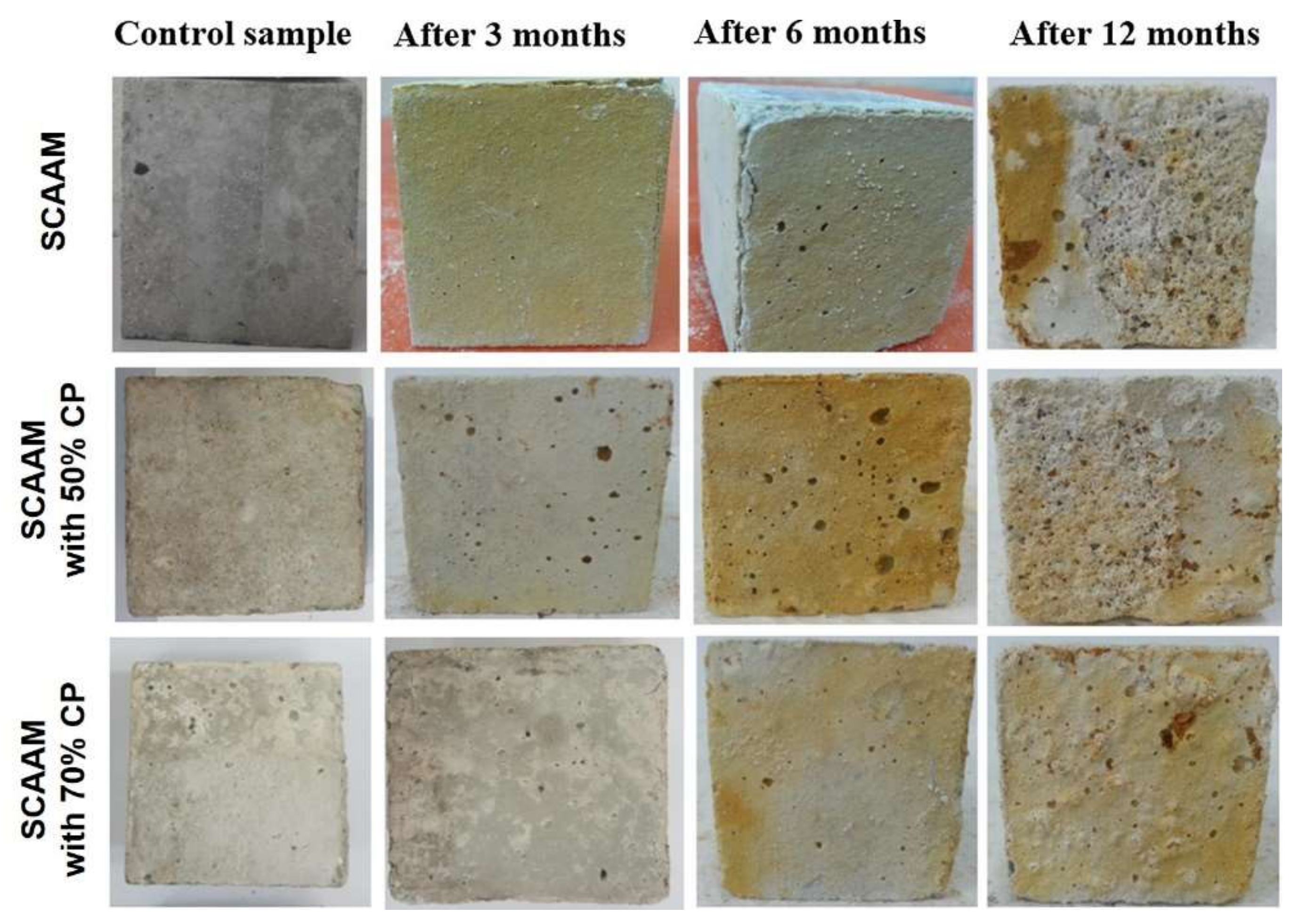 Molecules 27 00081 g005