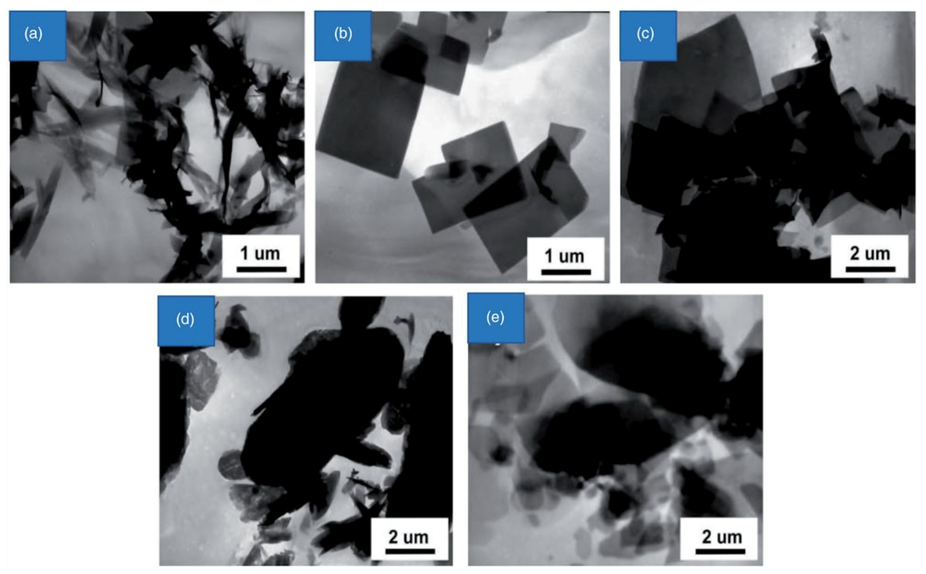Molecules 27 00100 g002