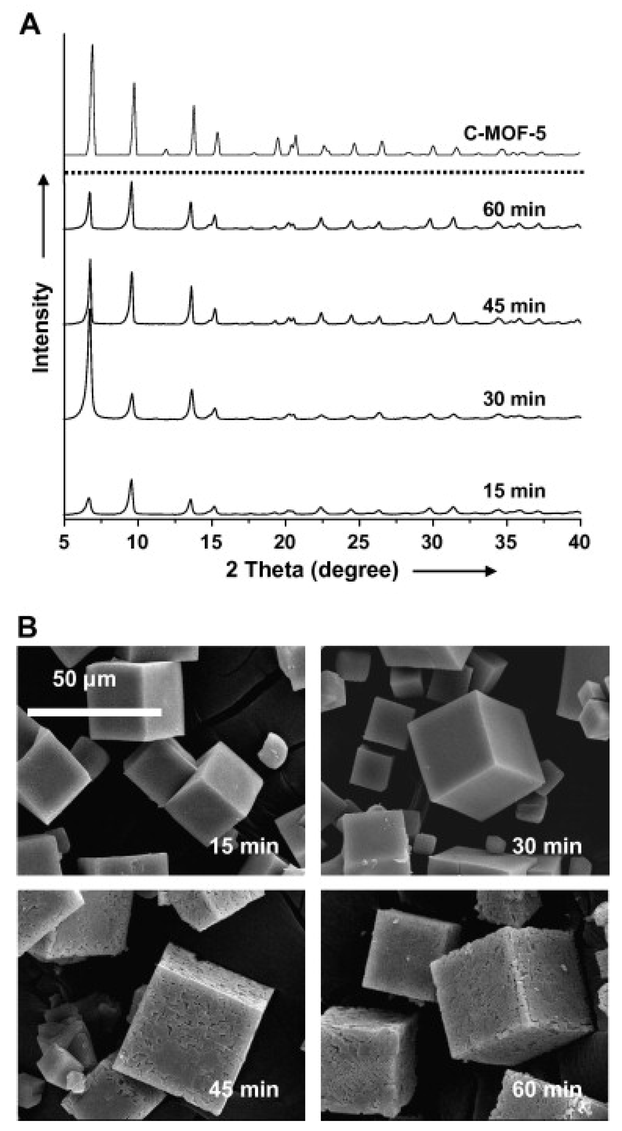 Molecules 27 00100 g003