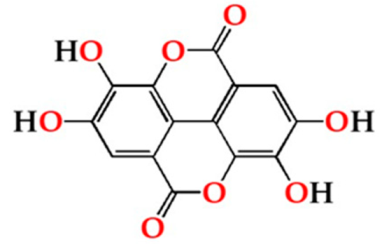 Molecules 27 00106 i005