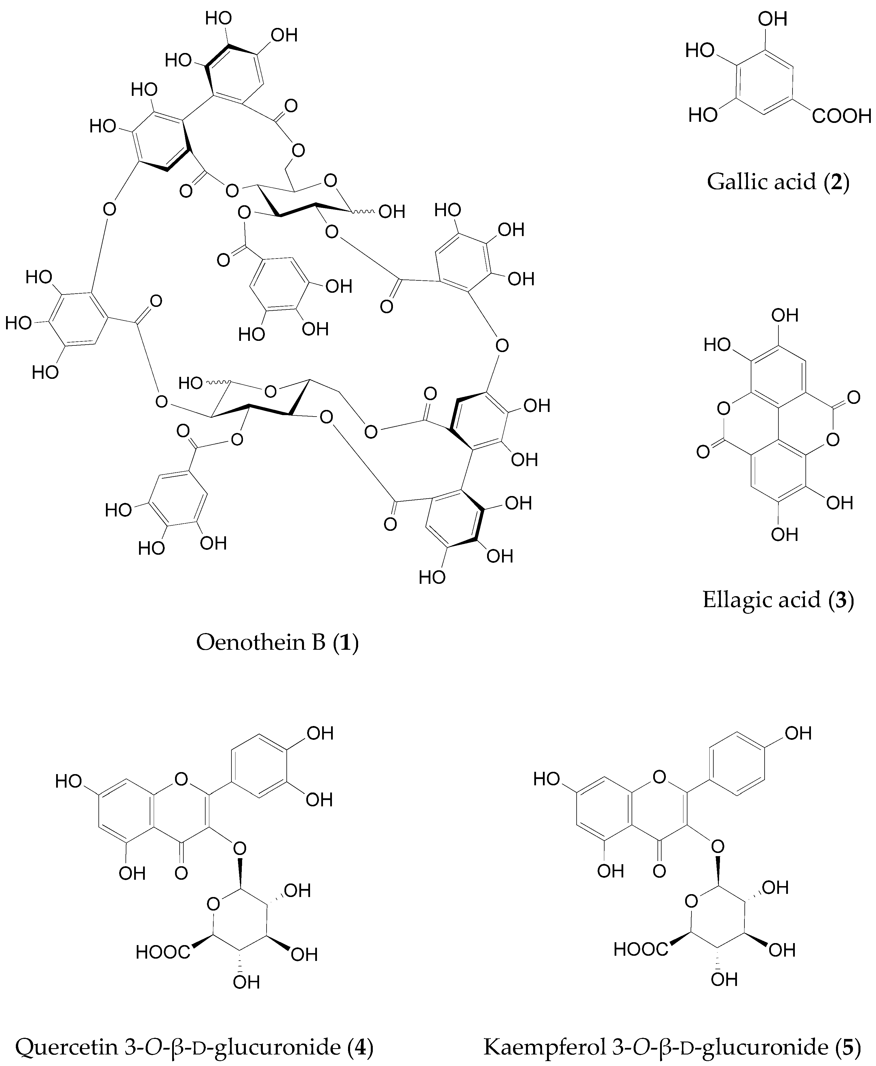 Molecules 27 00122 g002