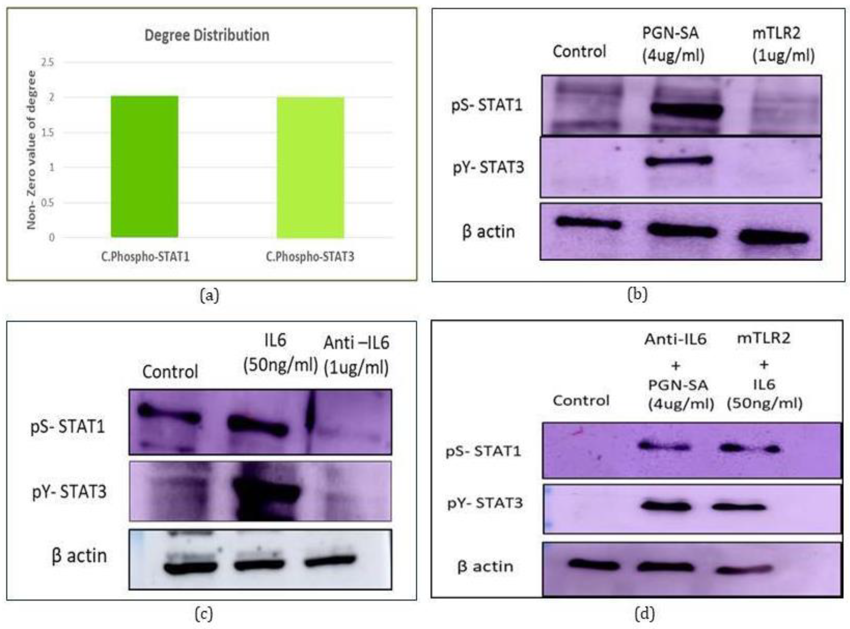 Molecules 27 00124 g004