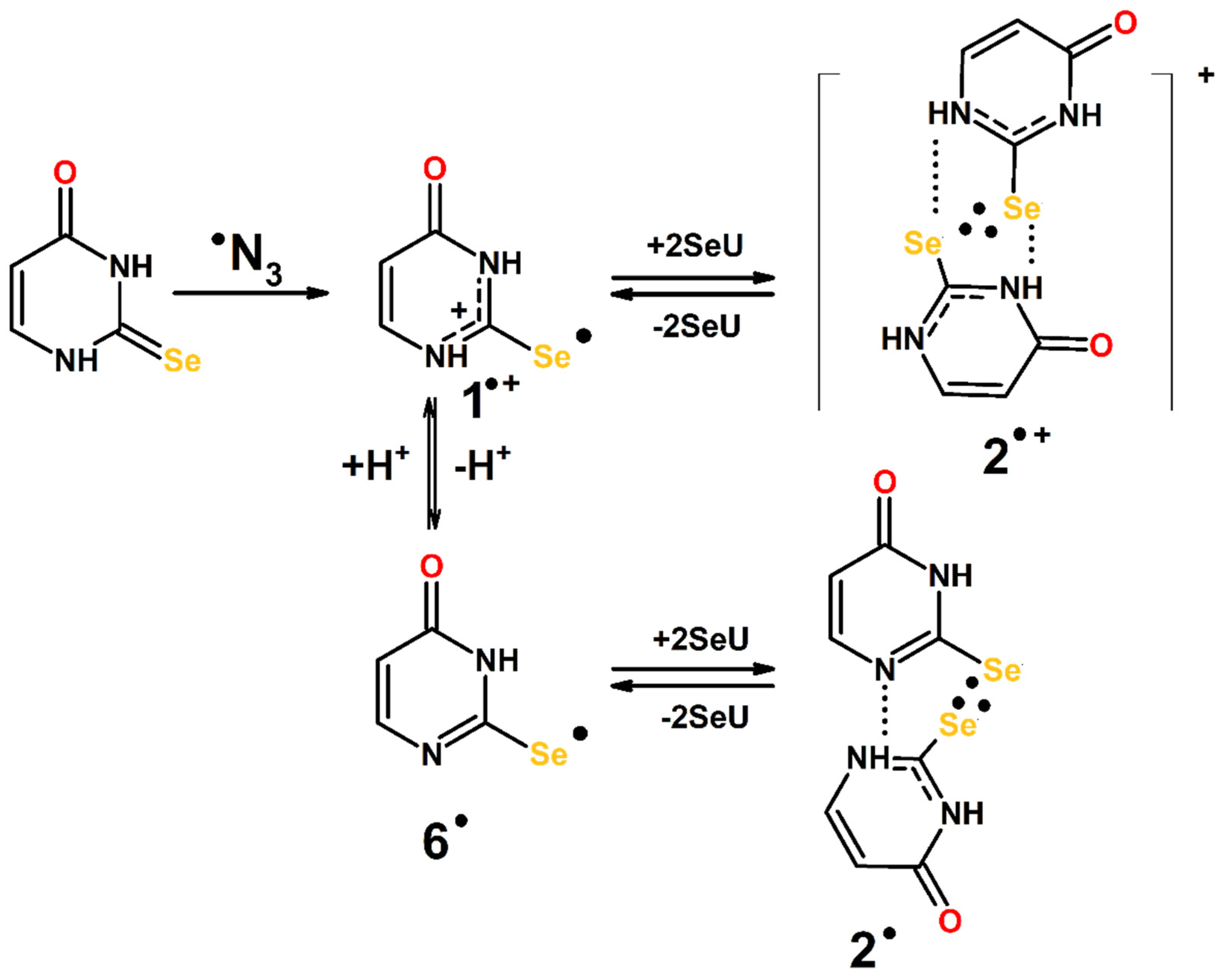 Molecules 27 00133 sch003