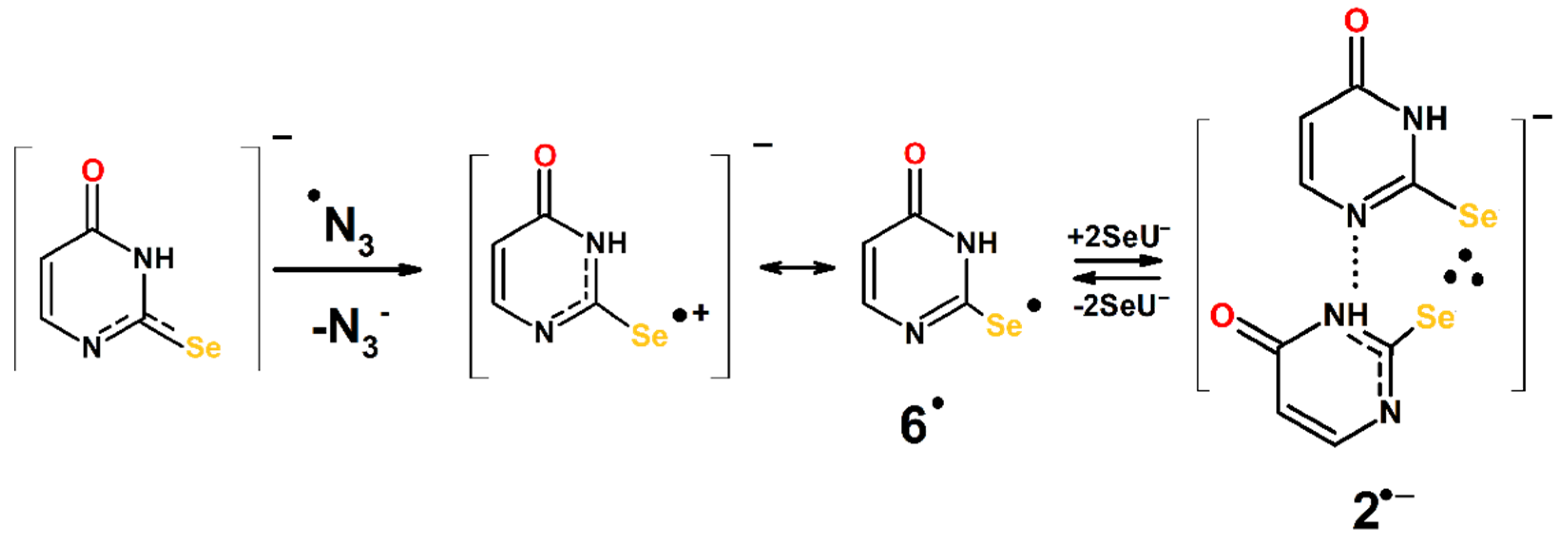 Molecules 27 00133 sch004