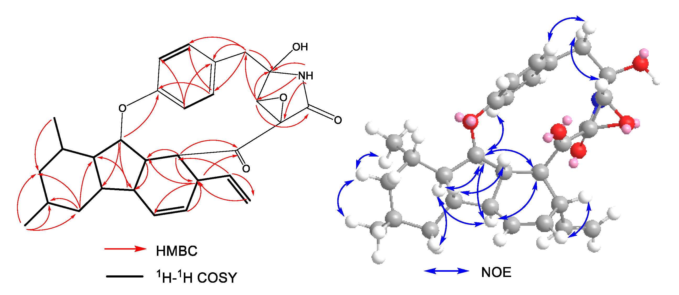 Molecules 27 00136 g002
