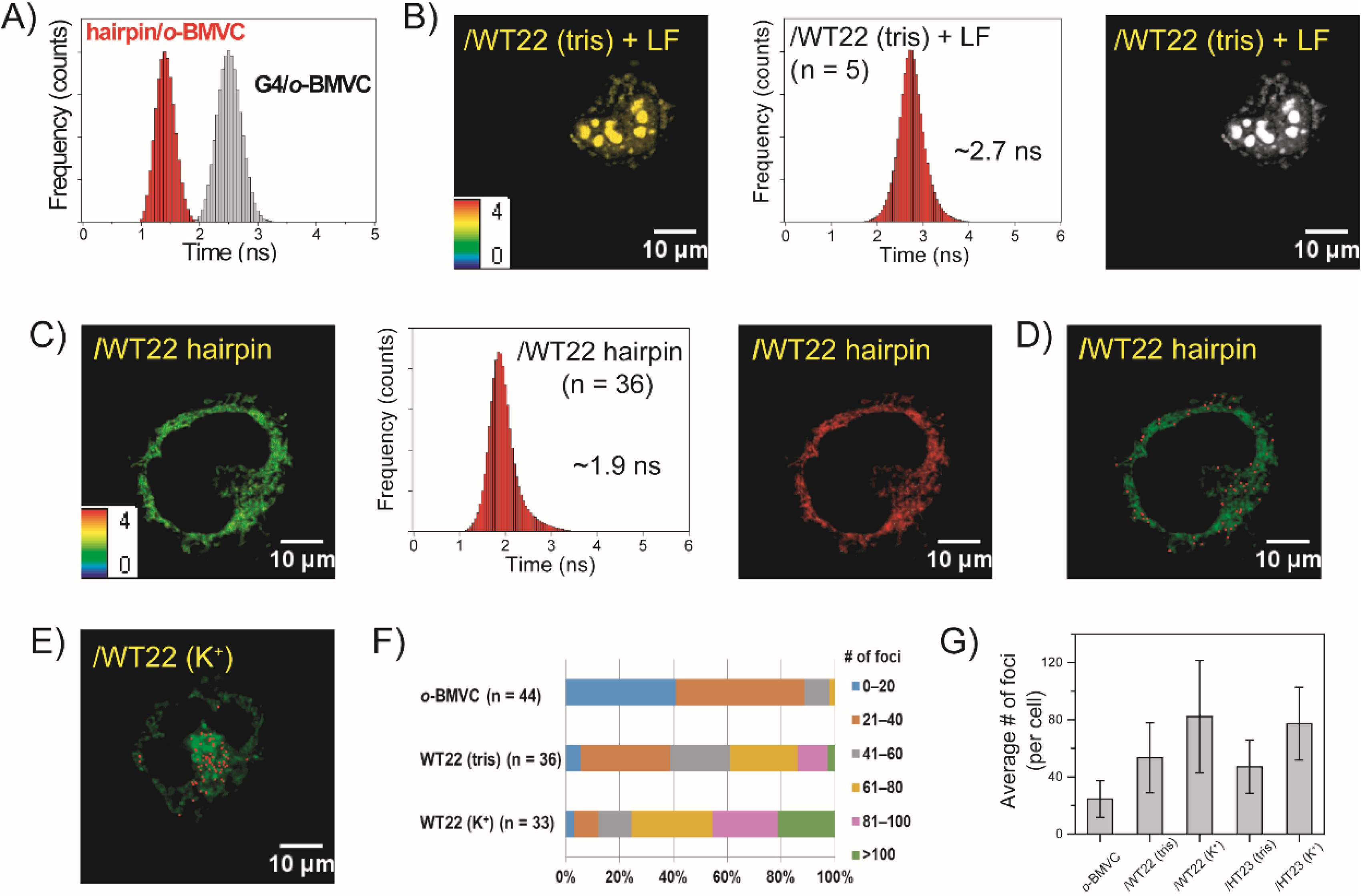 Molecules 27 00140 g003