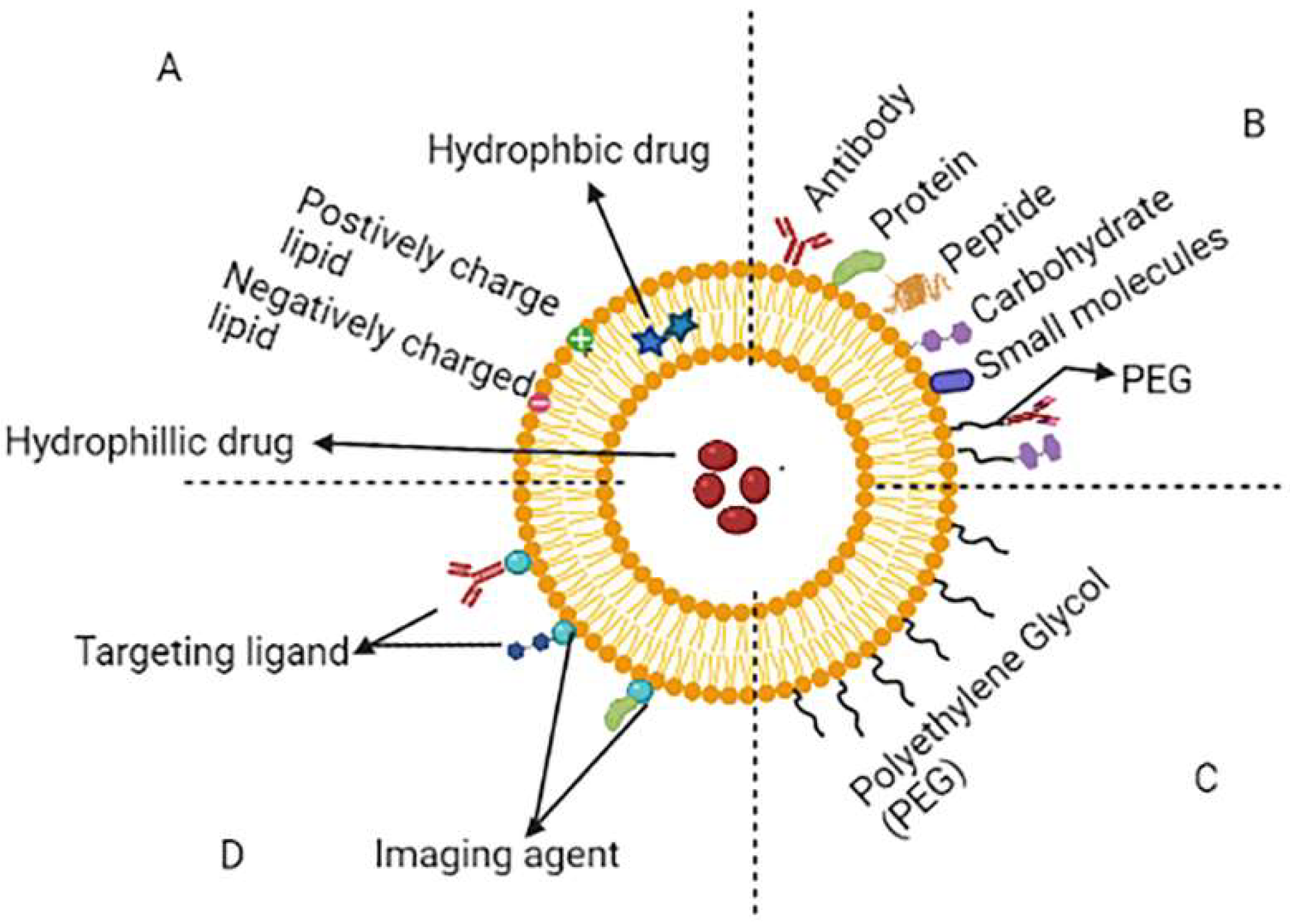Molecules 27 00146 g002