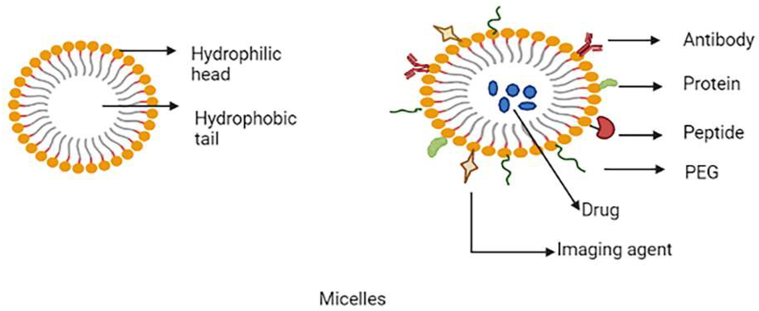Molecules 27 00146 g004