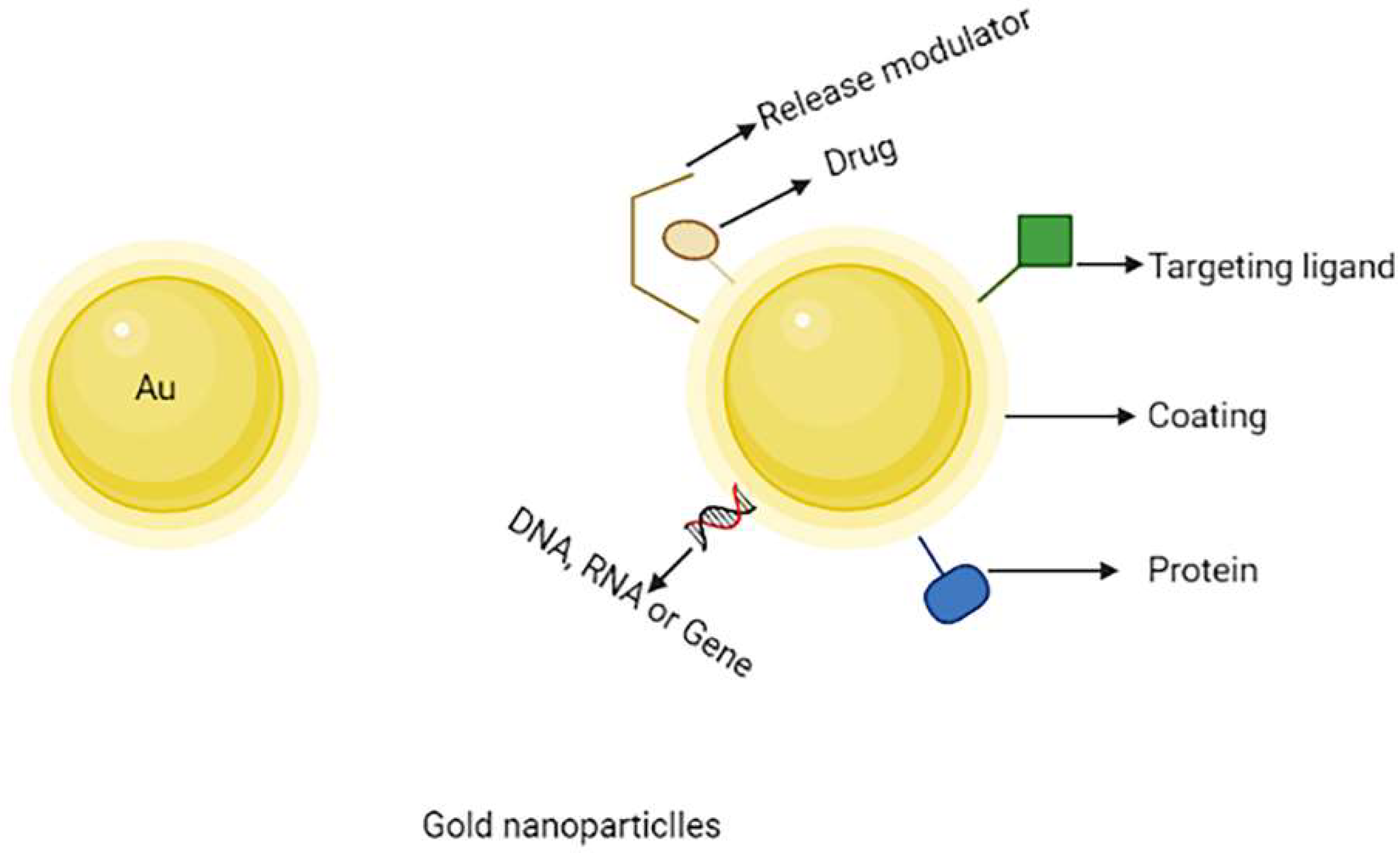 Molecules 27 00146 g006