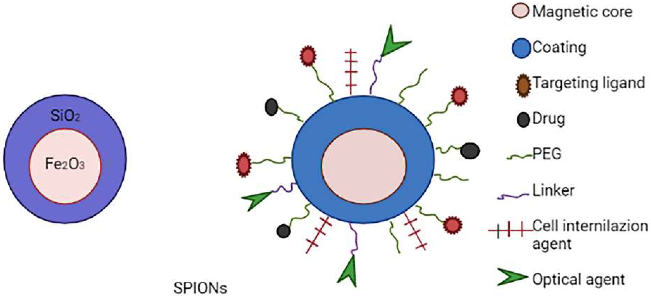 Molecules 27 00146 g008