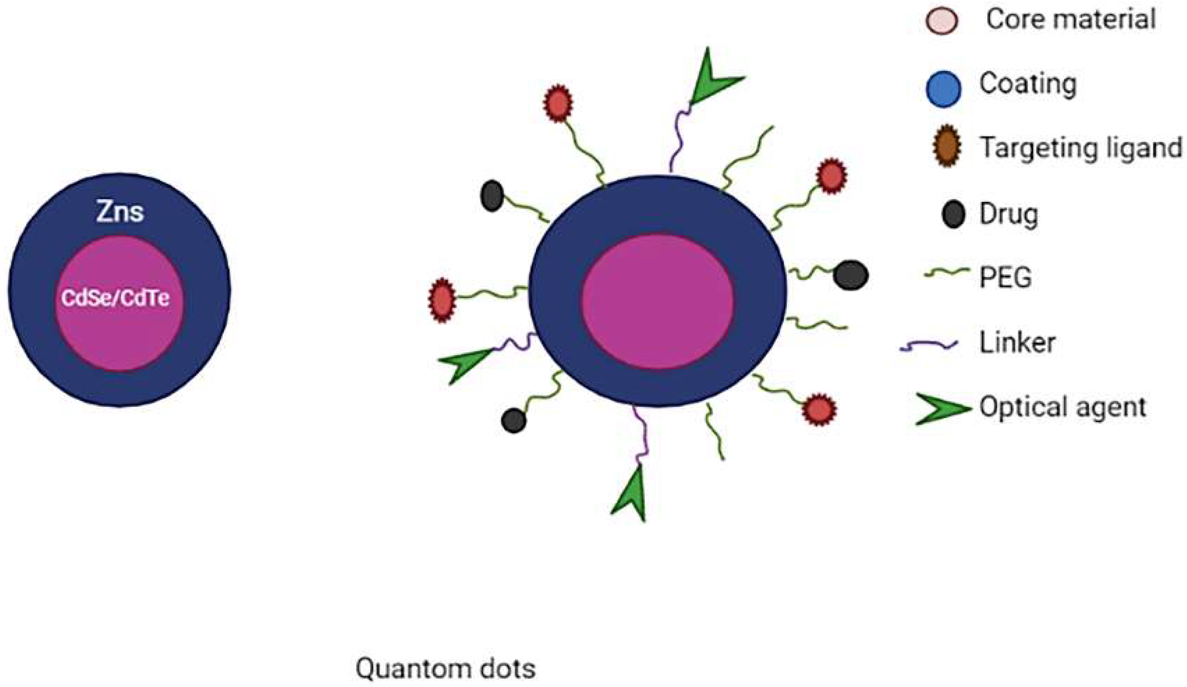 Molecules 27 00146 g009