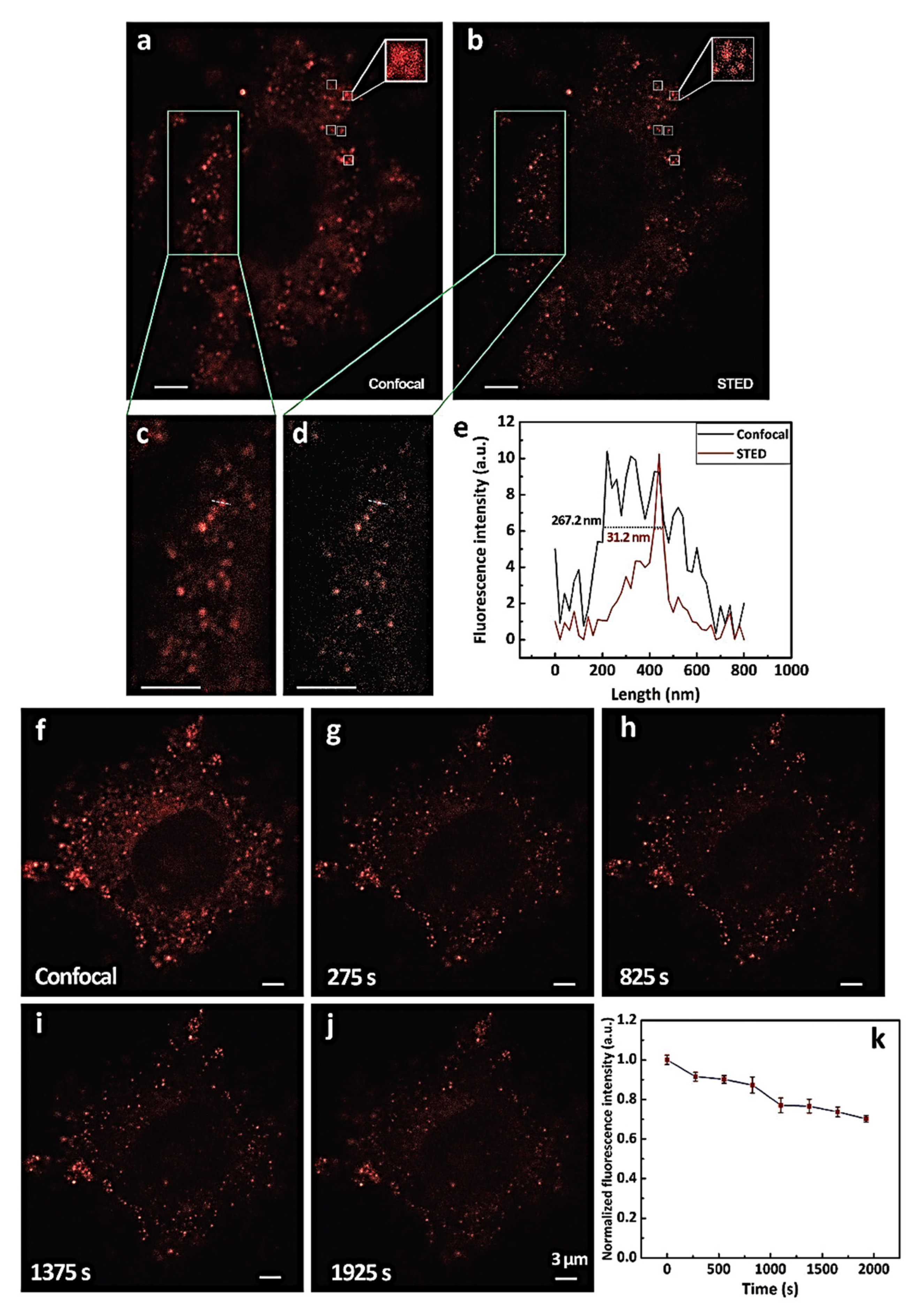Molecules 27 00150 g013