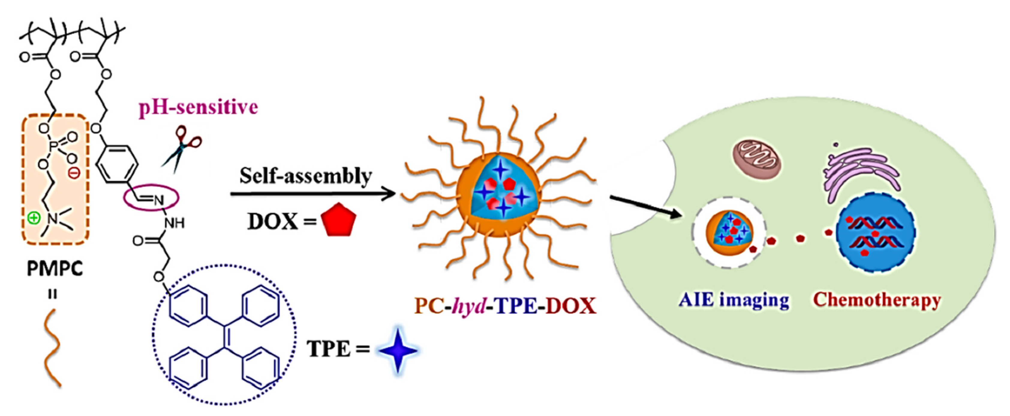 Molecules 27 00150 g024